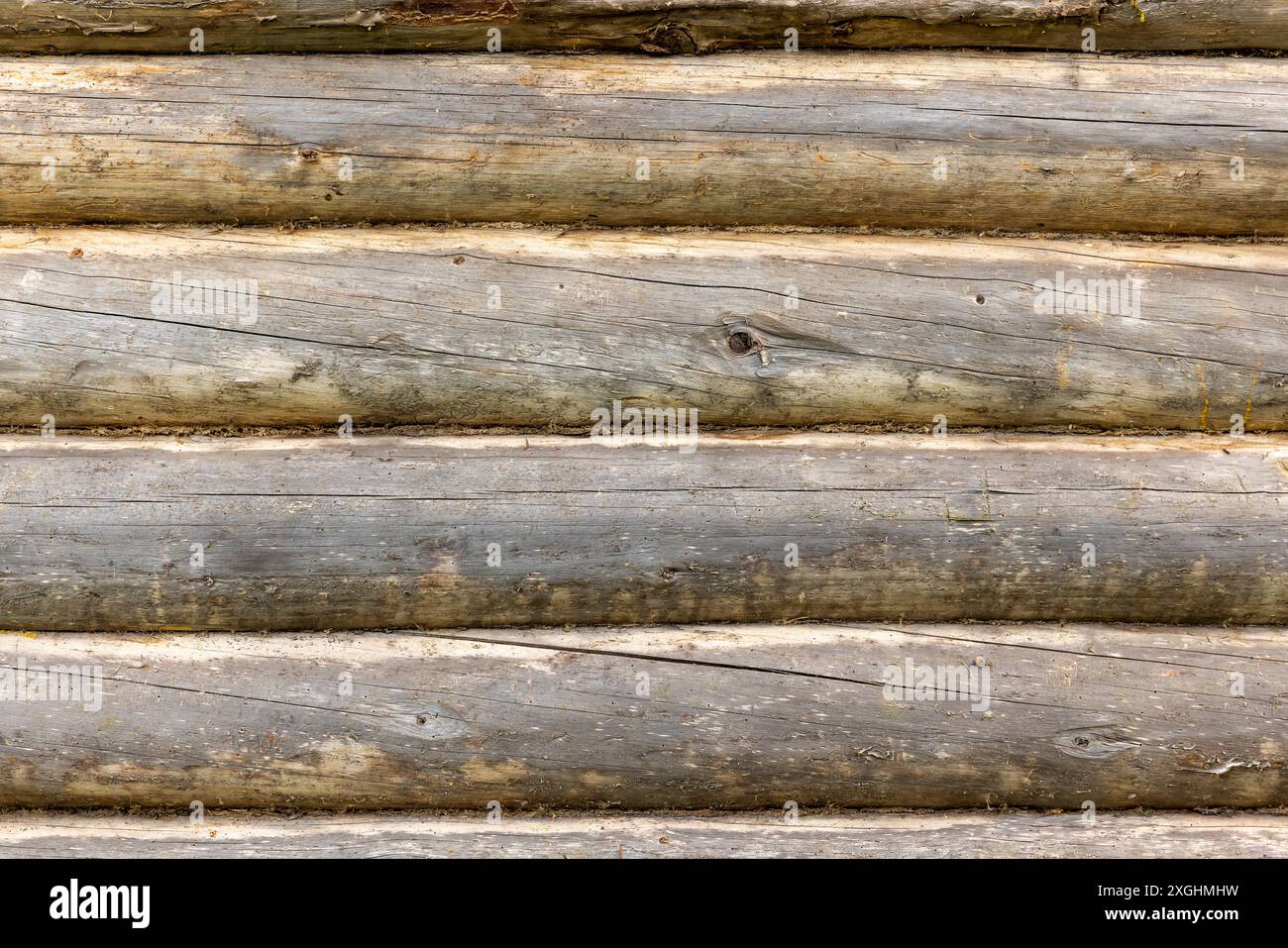 Alte Holzwand aus naturfarbenen Kiefernstämmen, frontale Hintergrundfotostruktur Stockfoto