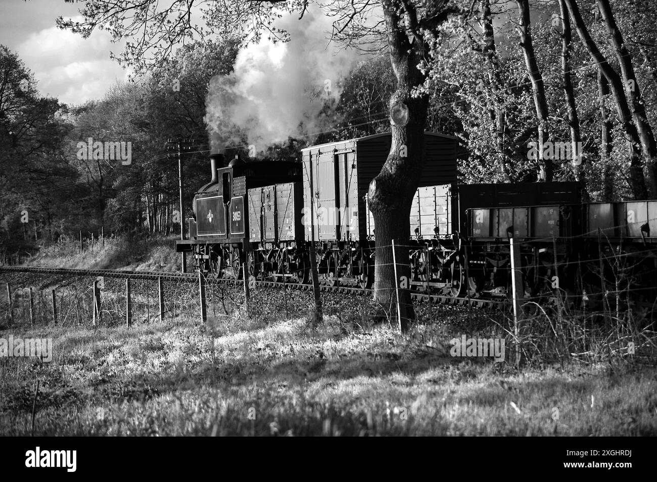 '30053' und ein kurzer Güterzug. Gesehen hier zwischen Northiam und Wittersham Road. Stockfoto