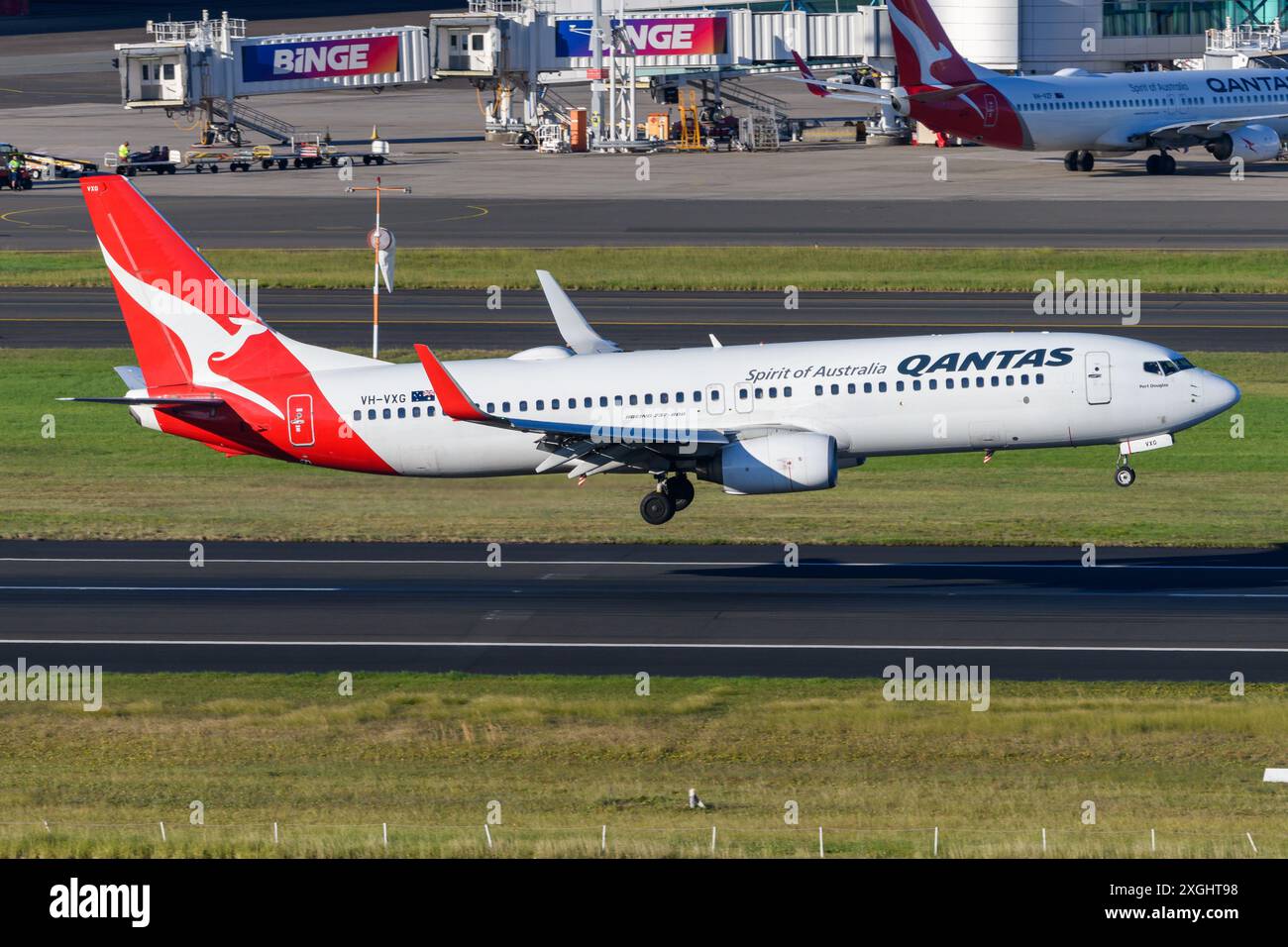 Qantas Airways Boeing 737 landet am Flughafen Sydney. Flugzeug B737 von Qantas Airline kommt an. 737-800 Ebene. Stockfoto