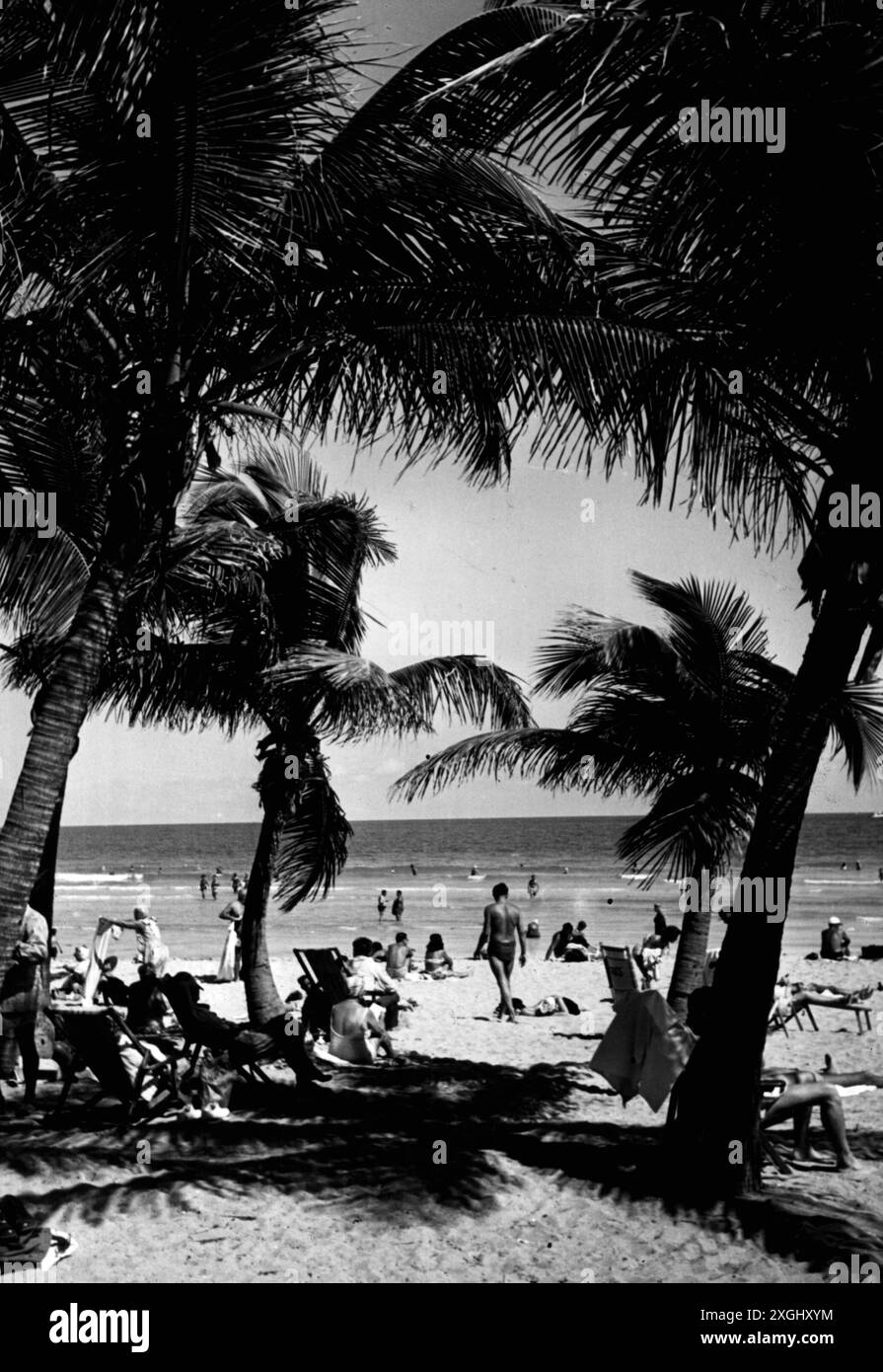 Geographie / Reise historisch, USA, Städte und Gemeinden, Miami Beach, Florida, STRAND, 1950ER JAHRE, ZUSÄTZLICHE RECHTE-CLEARANCE-INFO-NICHT-VERFÜGBAR Stockfoto