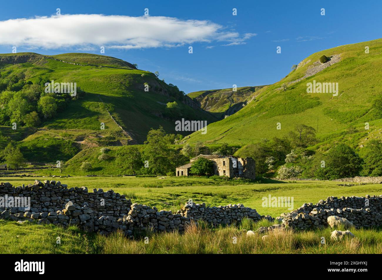 Malerische Swaledale (Hausruine, Nebenfluss-Tal, bröckelnde Trockenmauer, Ackerwiesen, blauer Himmel) - Nr Muker, Yorkshire Dales, England, Großbritannien. Stockfoto