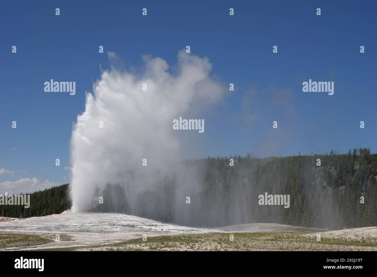 Old Faithful Geysir Bricht Aus (Landschaft) Stockfoto