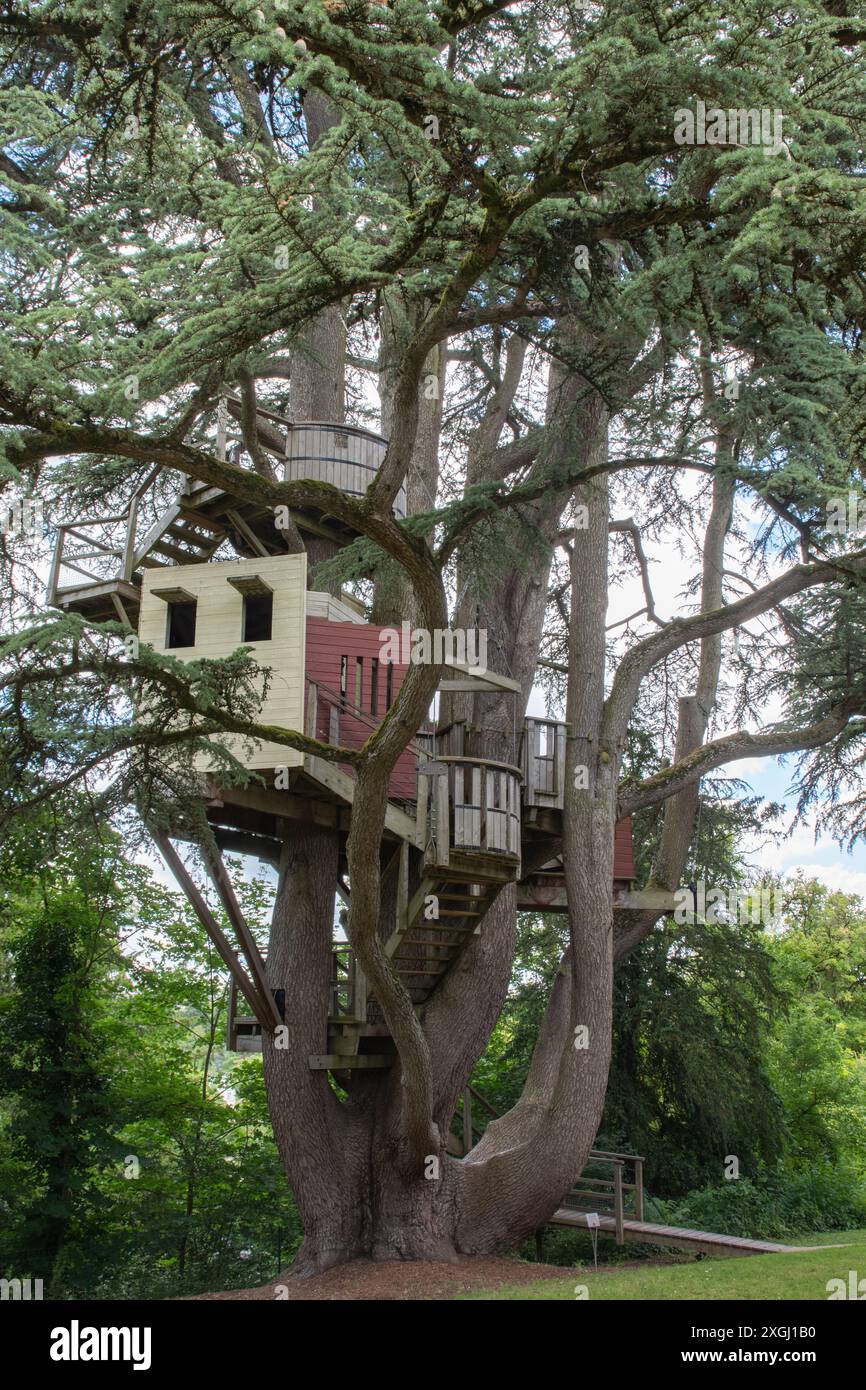 Baumhaus auf dem Gelände des Château de Langeais Stockfoto