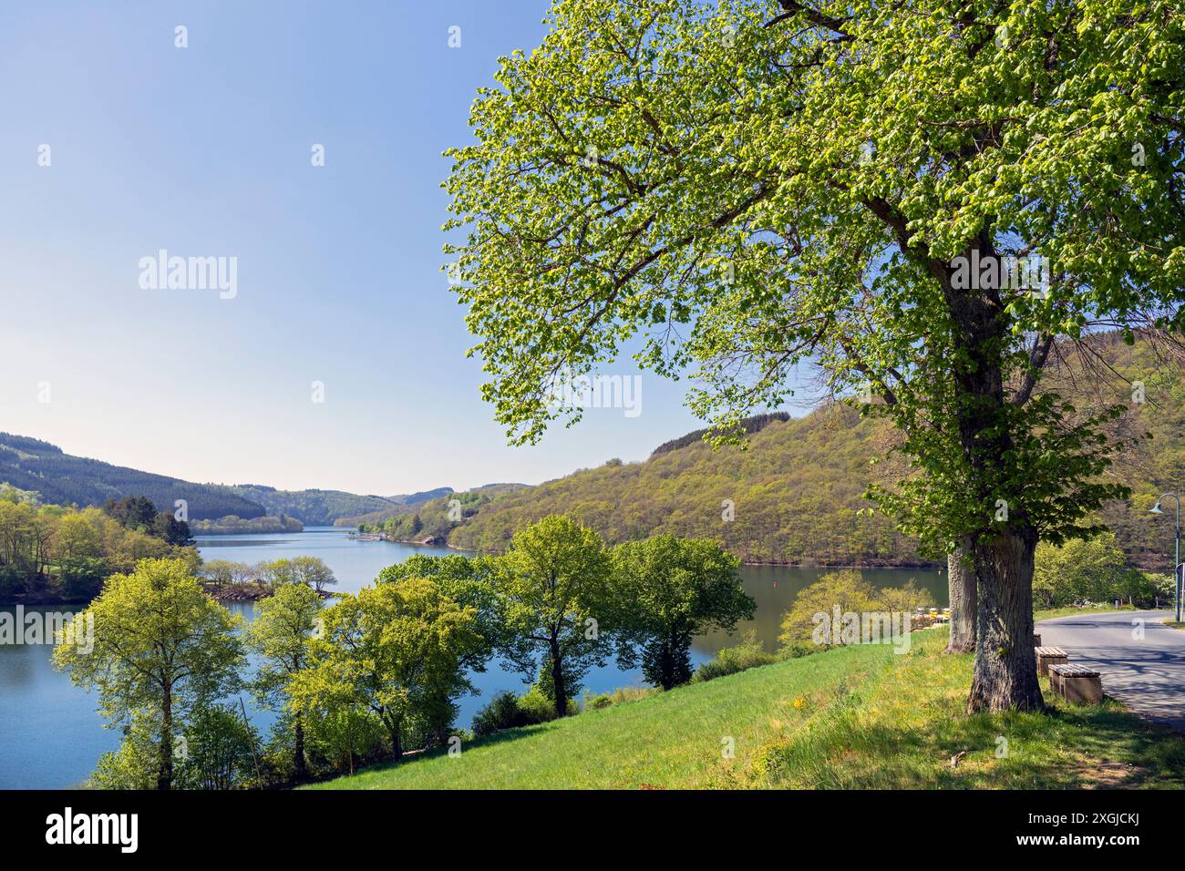 Europa, Luxemburg, Esch-sur-Sûre, Lultzhausen, Blick auf Lac Sure vom Aussichtspunkt Stockfoto