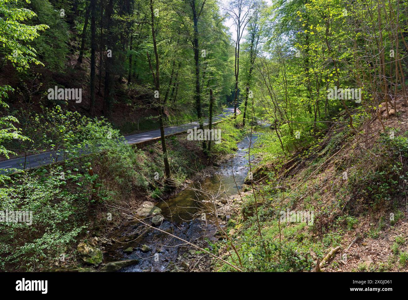 Europa, Luxemburg, Grevenmacher, Mullerthal, Ernz in der Nähe des Schiessentumpel Wasserfalls Stockfoto