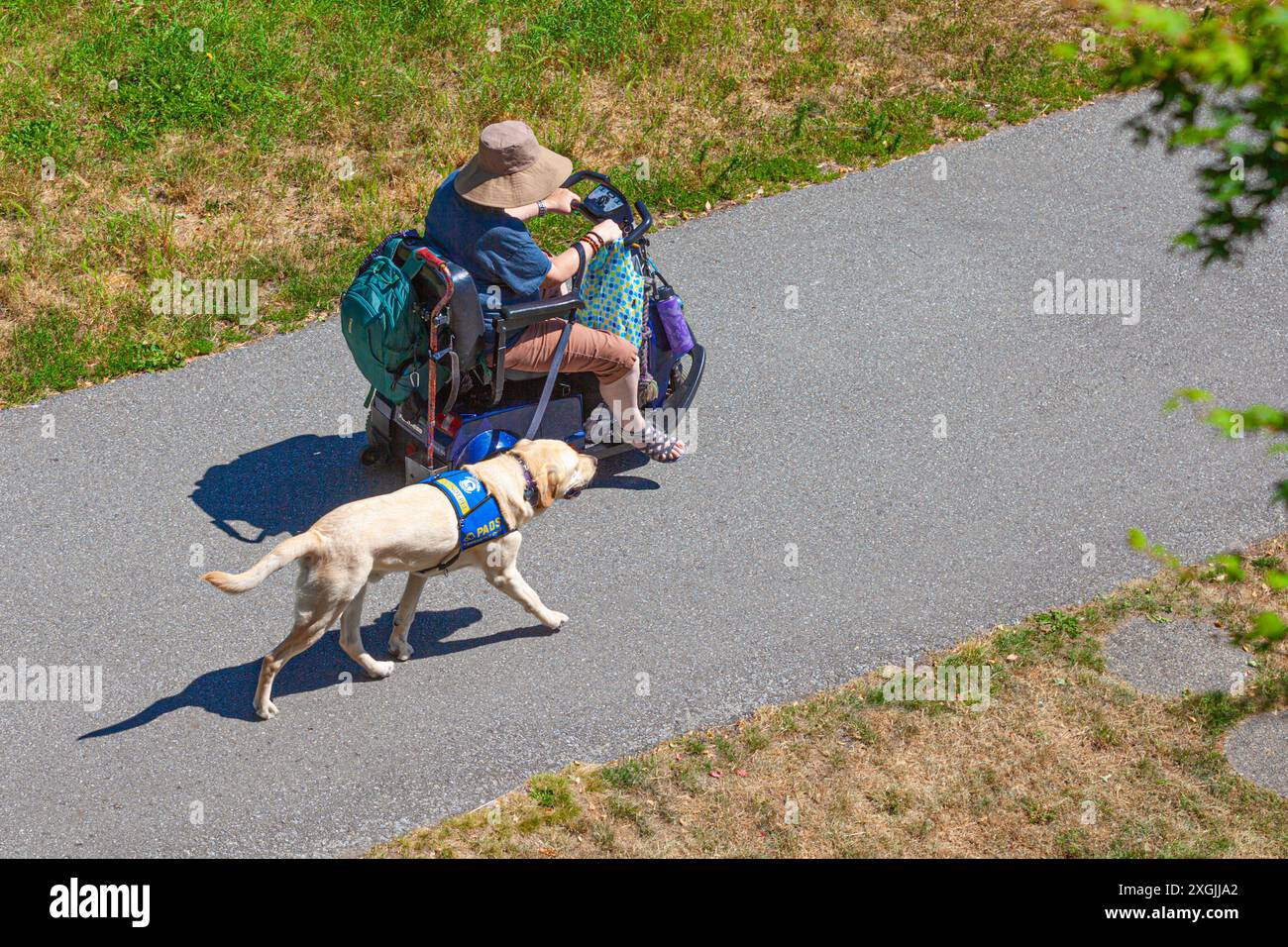 Eine Frau, die mit ihrem Hund ihren motorisierten Roller fährt Stockfoto