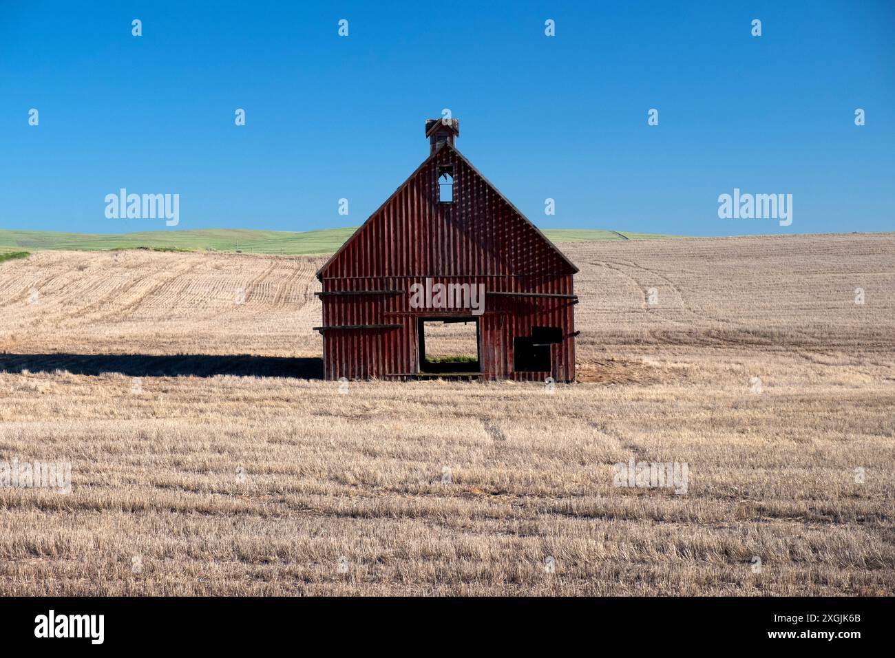 Isolierte alte Scheune auf einem trockenen Weizenfeld Stockfoto
