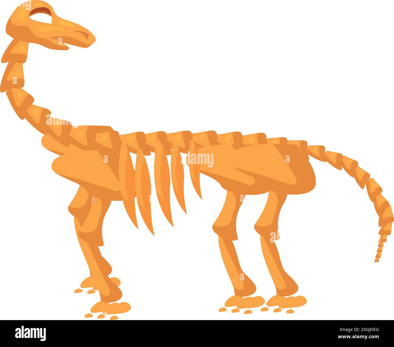 Diplodocus-Dinosaurier-Skelett-Posing in der naturgeschichtlichen Museumsausstellung Stock Vektor