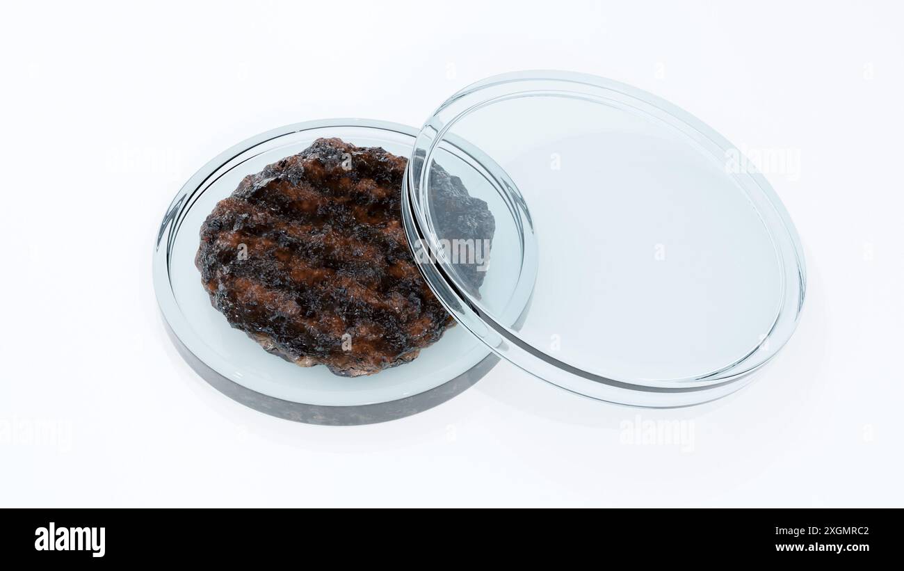 Die 3D-Veredelung eines runden Rindfleischpastchens befindet sich in einer Petrischale, was auf eine mögliche wissenschaftliche Analyse von Fleischerzeugnissen hindeutet. Stockfoto
