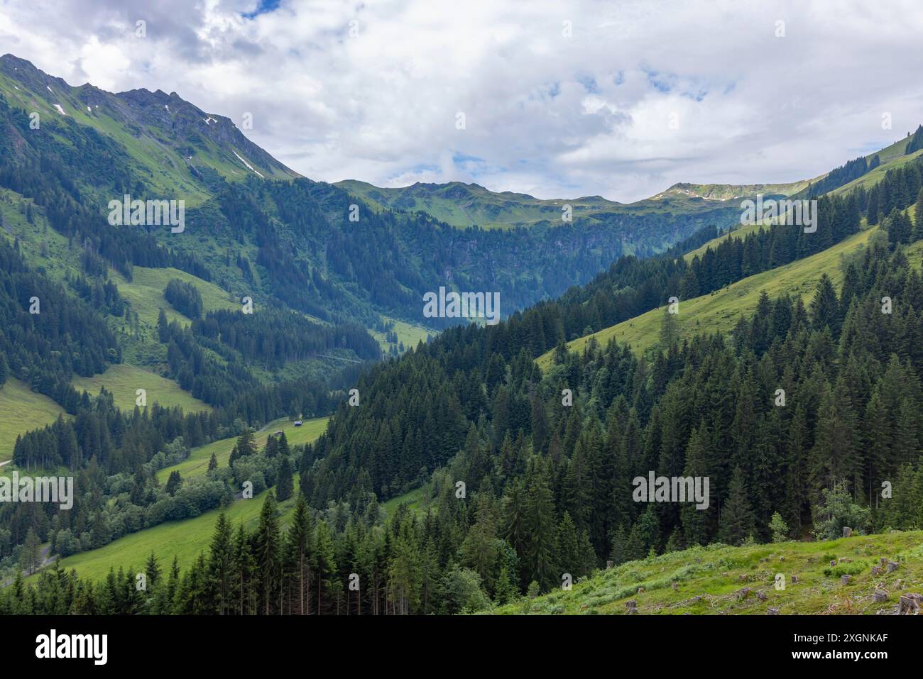 Landschaftspanorama, Berge, Pinzgau Stockfoto