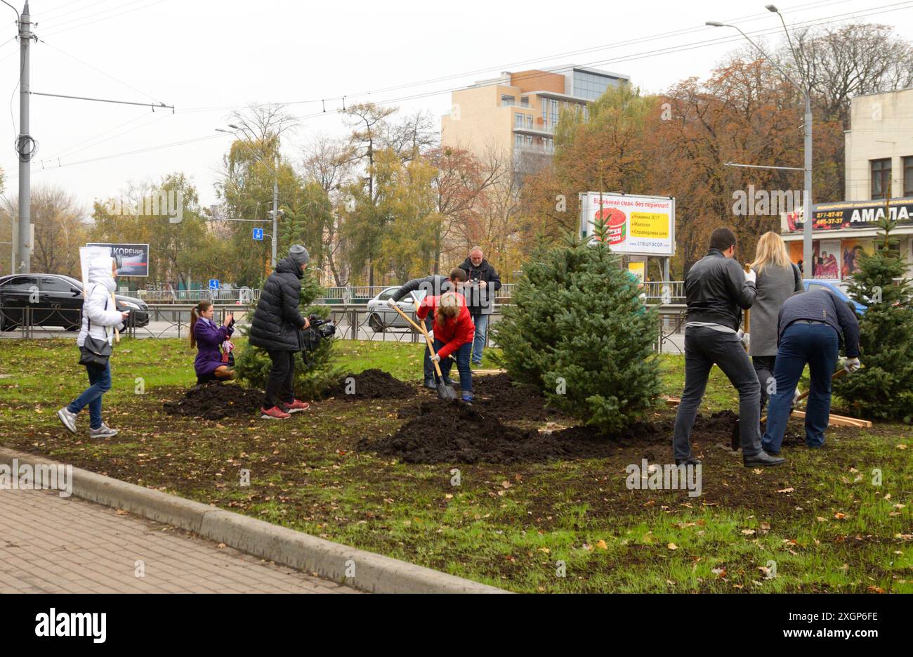 Urbanes Grün. Menschen grüne Aktivisten Pflanzen Fichten mit Schaufeln in einem Stadtpark. 20. Oktober 2021. Kiew, Ukraine Stockfoto