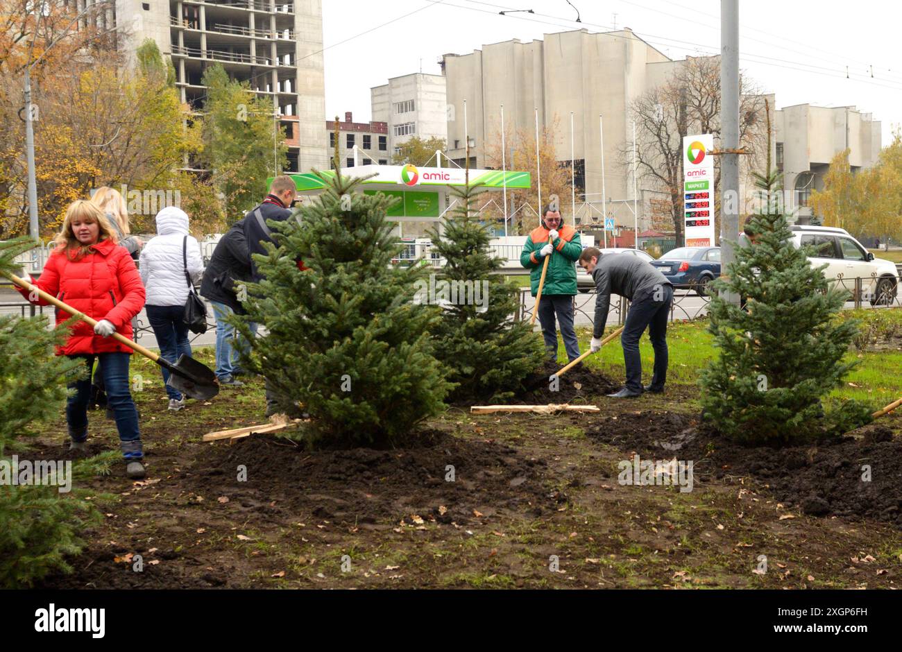 Urbanes Grün. Menschen grüne Aktivisten Pflanzen Fichten mit Schaufeln in einem Stadtpark. 20. Oktober 2021. Kiew, Ukraine Stockfoto