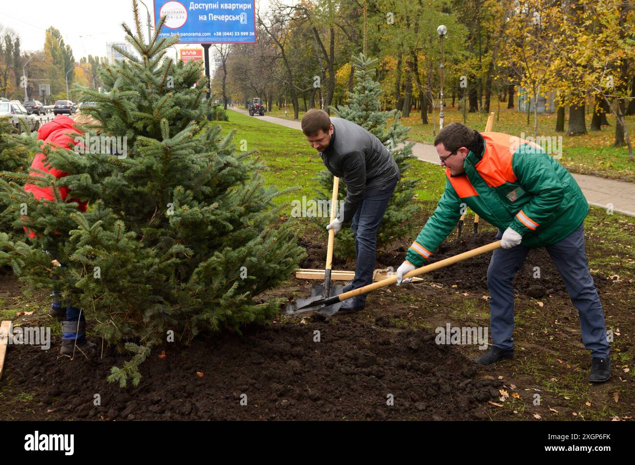 Urbanes Grün. Menschen grüne Aktivisten Pflanzen Fichten mit Schaufeln in einem Stadtpark. 20. Oktober 2021. Kiew, Ukraine Stockfoto