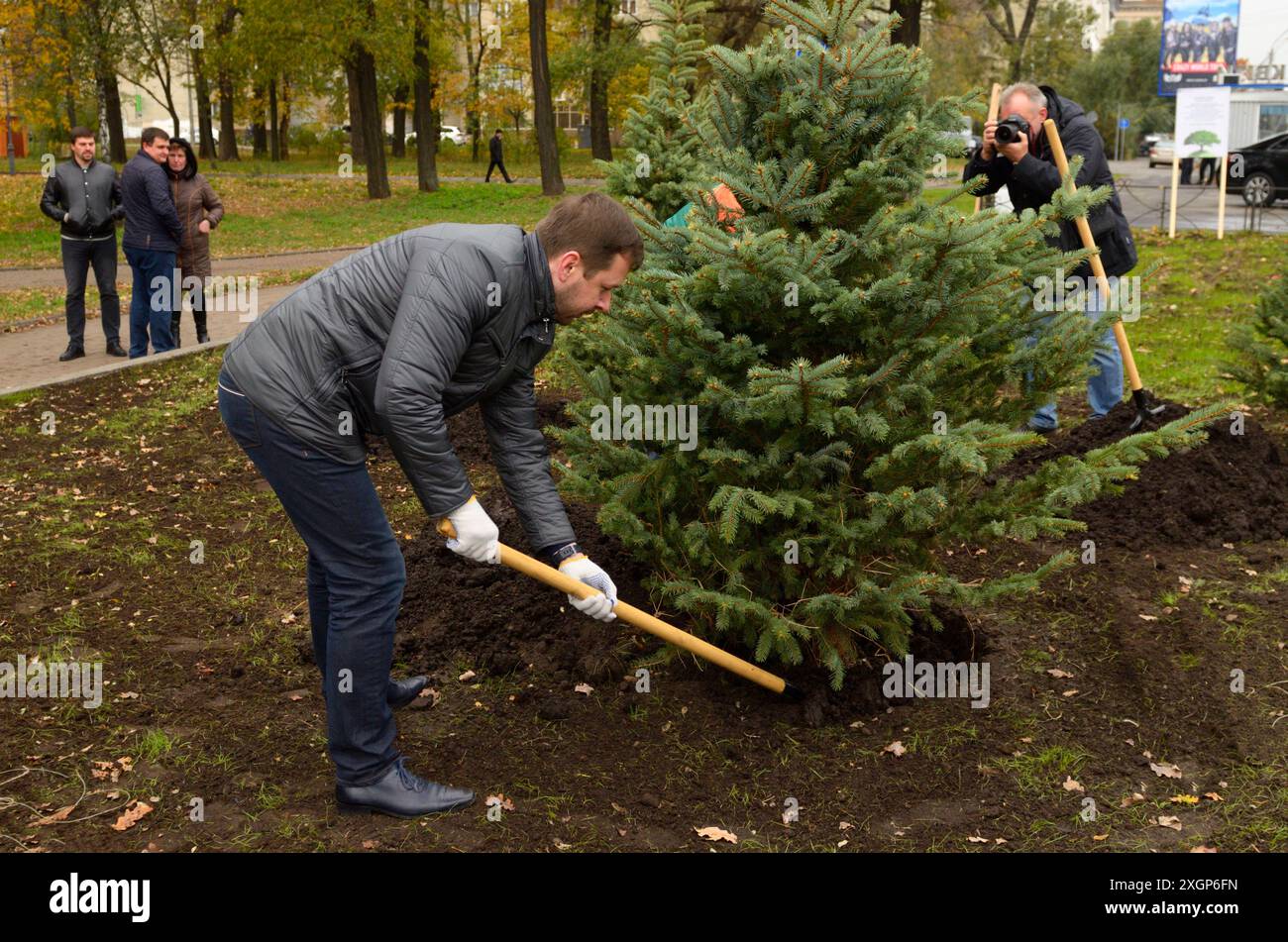 Urbanes Grün. Menschen grüne Aktivisten Pflanzen Fichten mit Schaufeln in einem Stadtpark. 20. Oktober 2021. Kiew, Ukraine Stockfoto