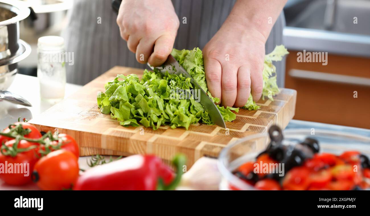 Koch Hände Schneiden Grüne frischem Salat Zutat Stockfoto