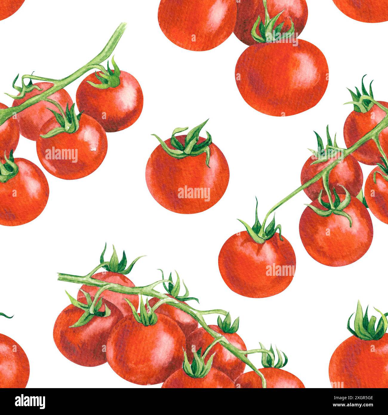 Frische reife Kirschtomaten auf einem Zweig, handgezeichnete Aquarellillustration, nahtloses Muster Stockfoto