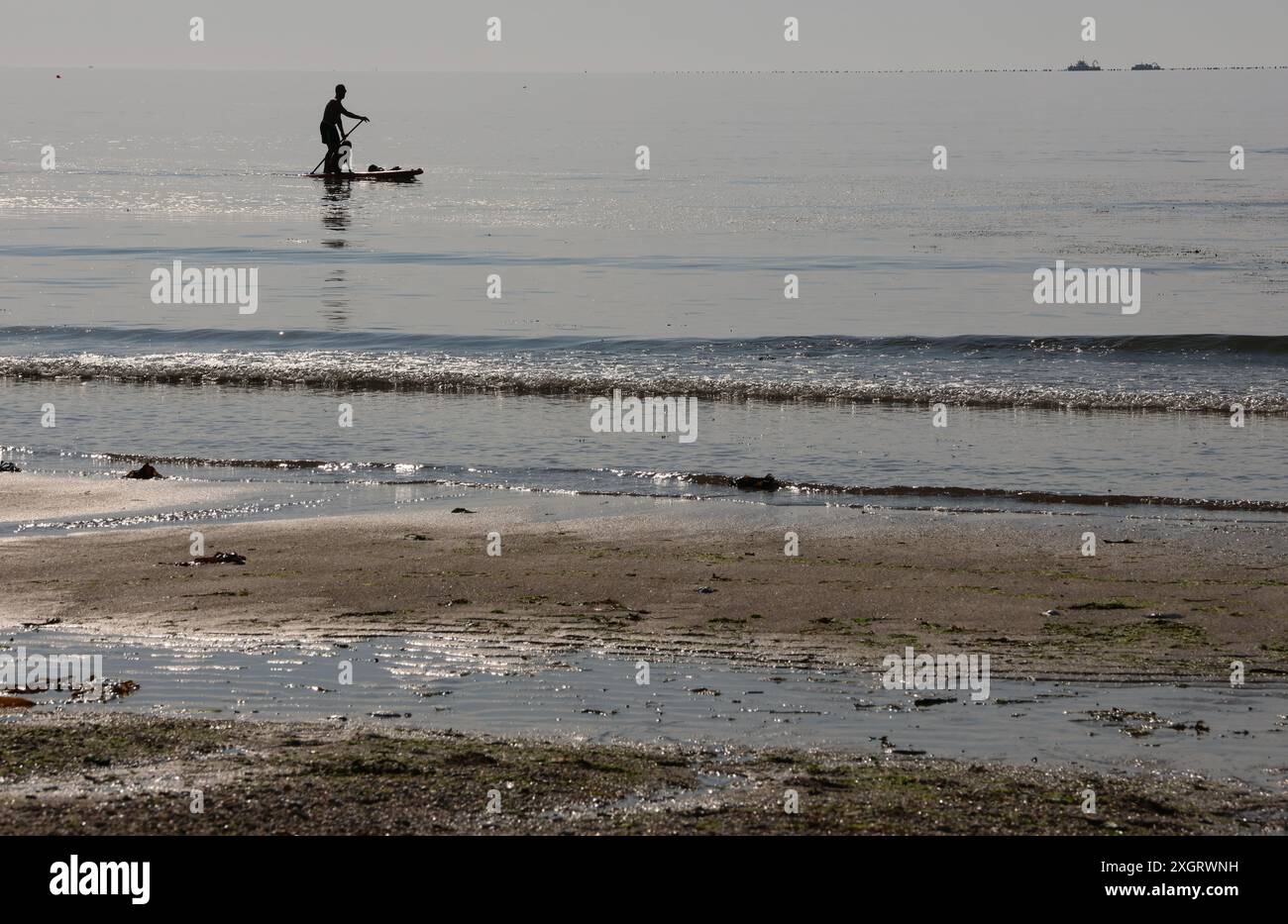 Ein Paddelrand und sein Hund in Silhouette auf dem Meer vor der Küste von Austell Cornwall UK Stockfoto