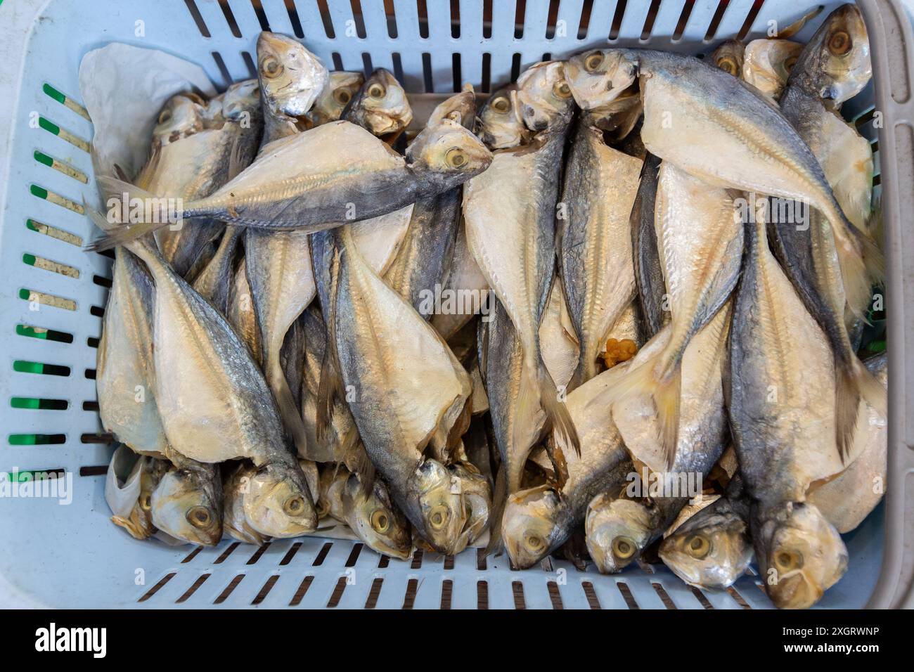 Blauer Korb voller gesalzenem Fisch, geschätzt für seinen reichen herzhaften Geschmack und etwas Protein, auf dem Geylang Serai Market erhältlich. Singapur. Stockfoto