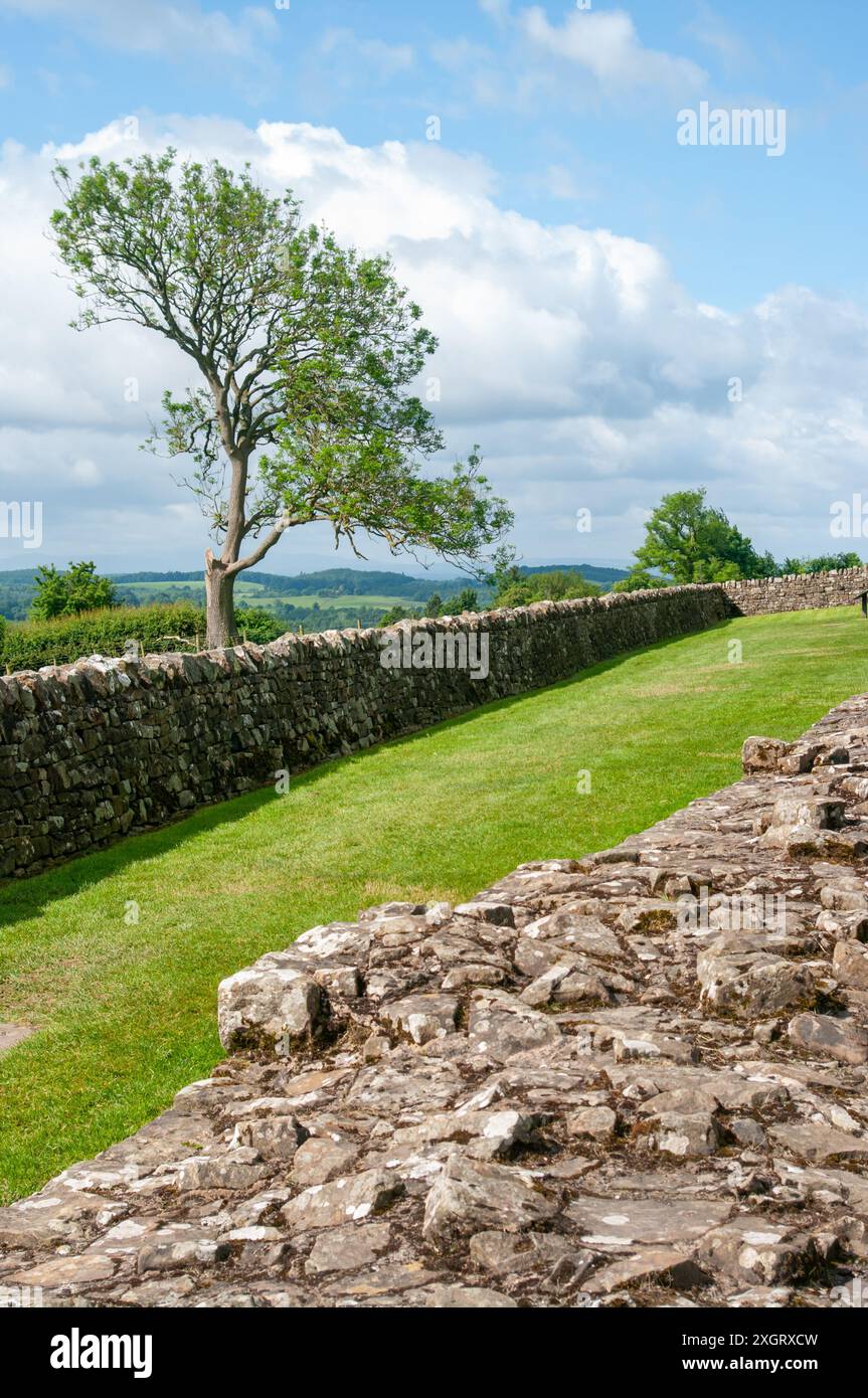 Banks East Turret Hadrians Wall Cumbria England Stockfoto