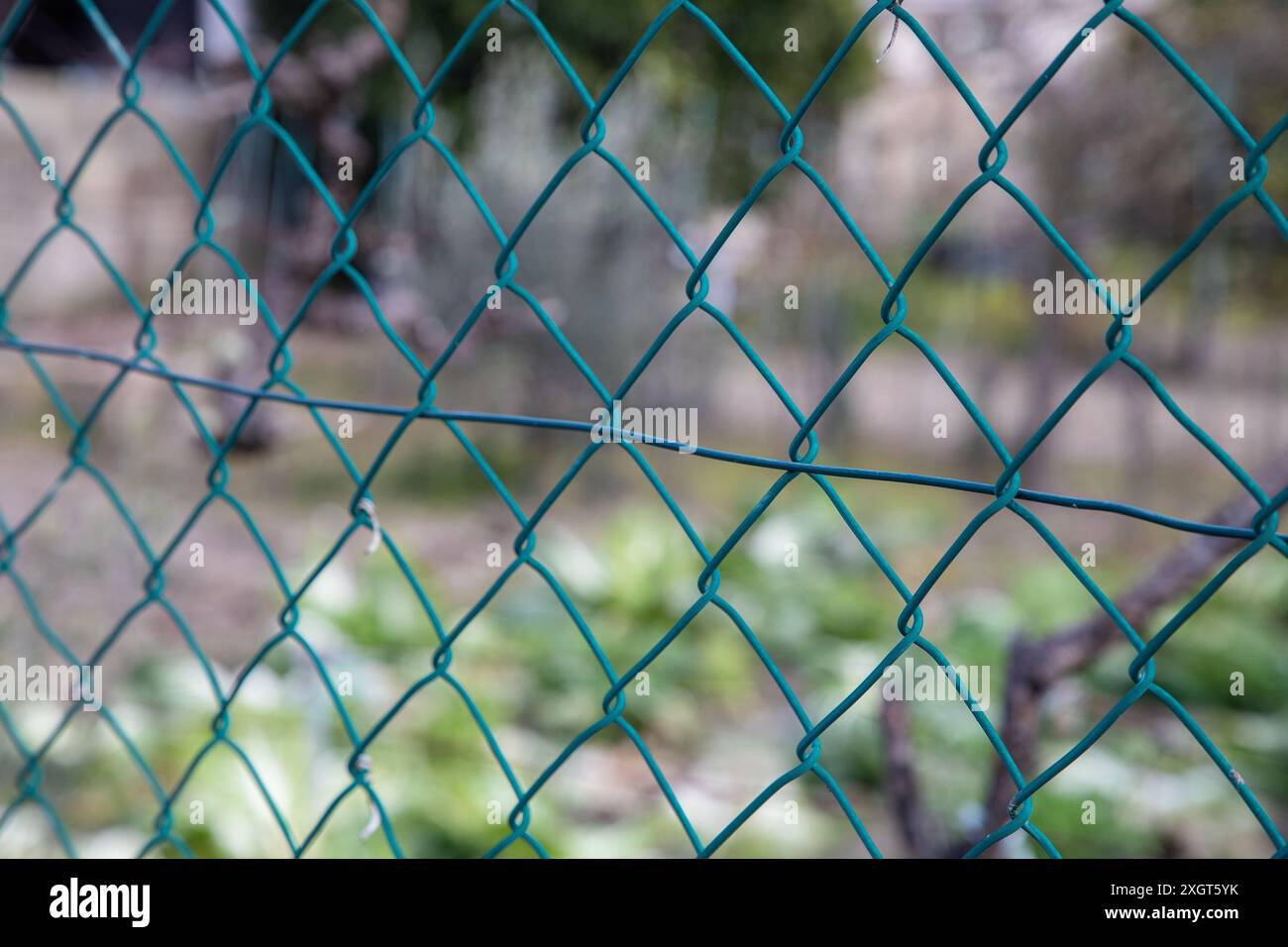 Nahaufnahme eines grünen Maschendrahtzauchs mit einem verschwommenen Garten im Hintergrund Stockfoto