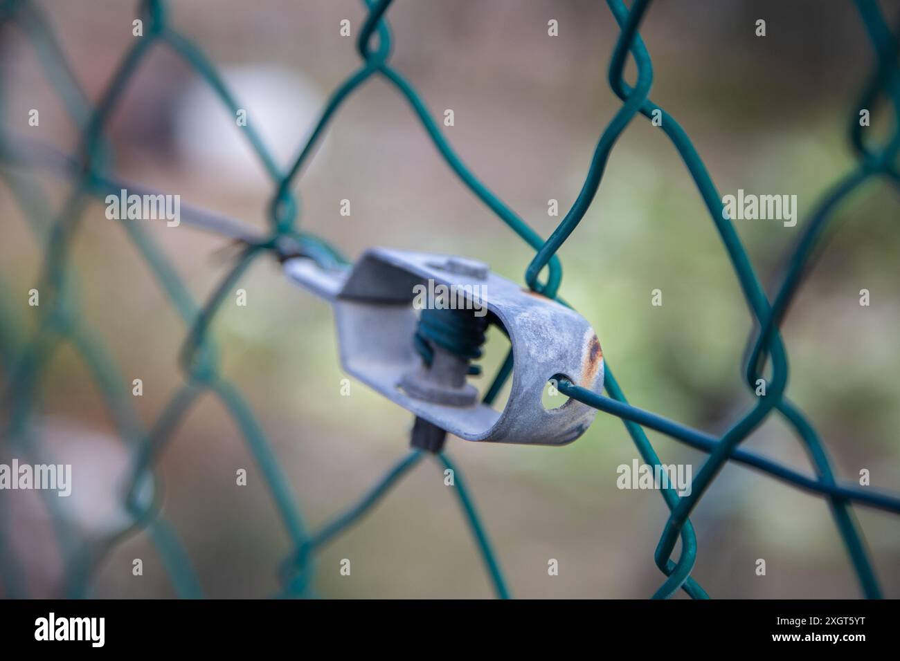 Nahaufnahme eines grünen Maschendrahtzauchs mit einem verschwommenen Garten im Hintergrund Stockfoto