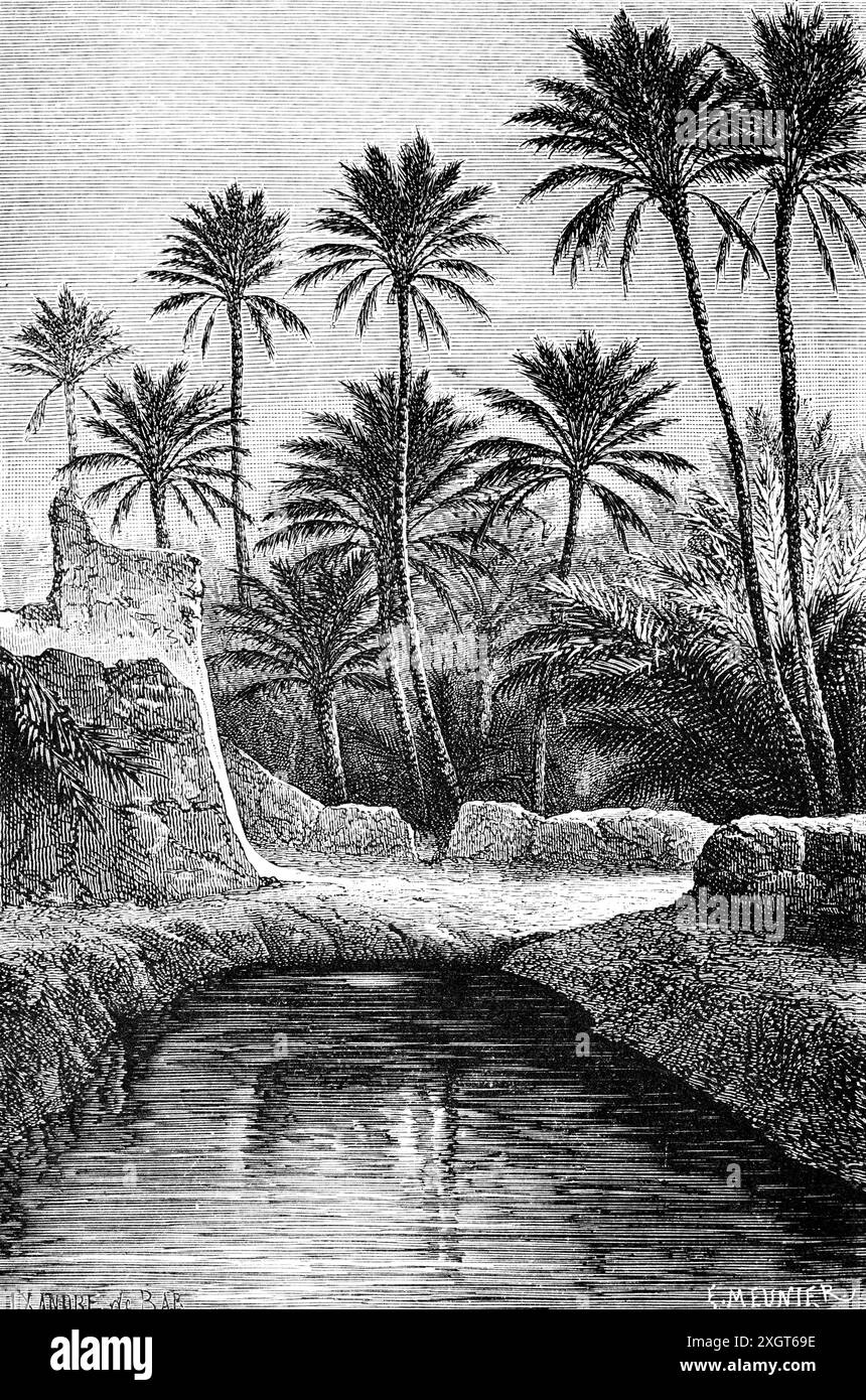 Oase von Aschadscha in der Nähe von Ouragla in der Sahara, Algerien, Südafrika, historische Illustration 1886 Stockfoto