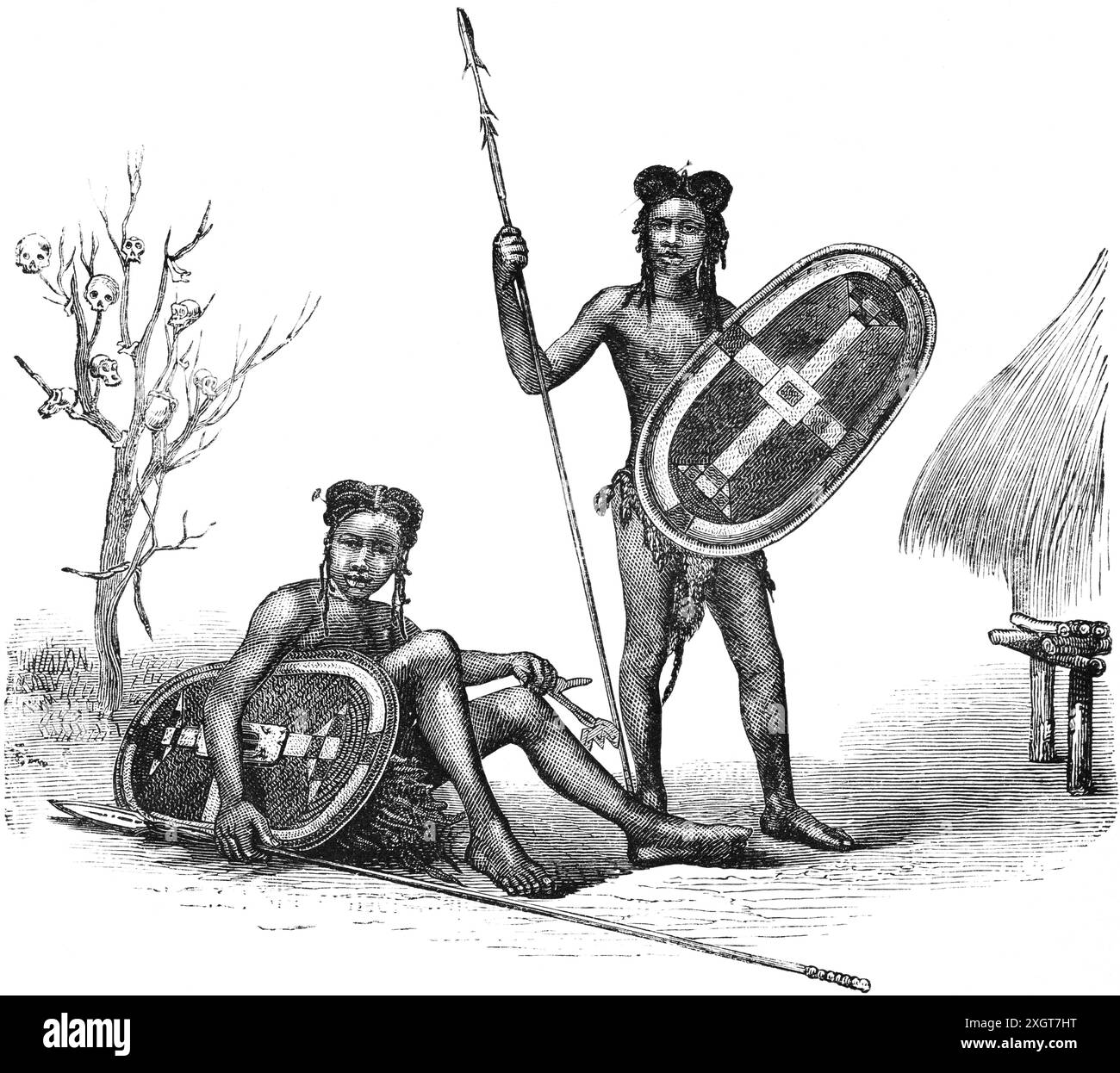 Porträt eines Azande- oder NiamNiam-Kriegers mit Speer und Schild, zentralafrikanische Menschen, Afrika, historische Illustration 1886 Stockfoto