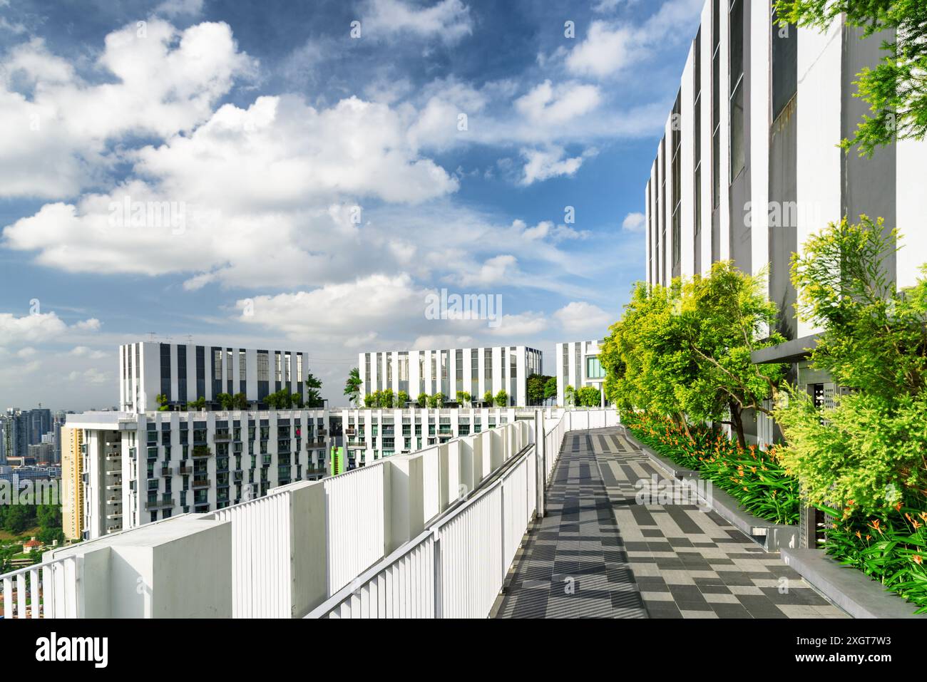 Fantastischer Dachgarten. Schöne Außenterrasse mit Park und wunderschönem Blick auf die Stadt. Moderne Bänke unter grünen Bäumen entlang des Gehwegs. Stockfoto