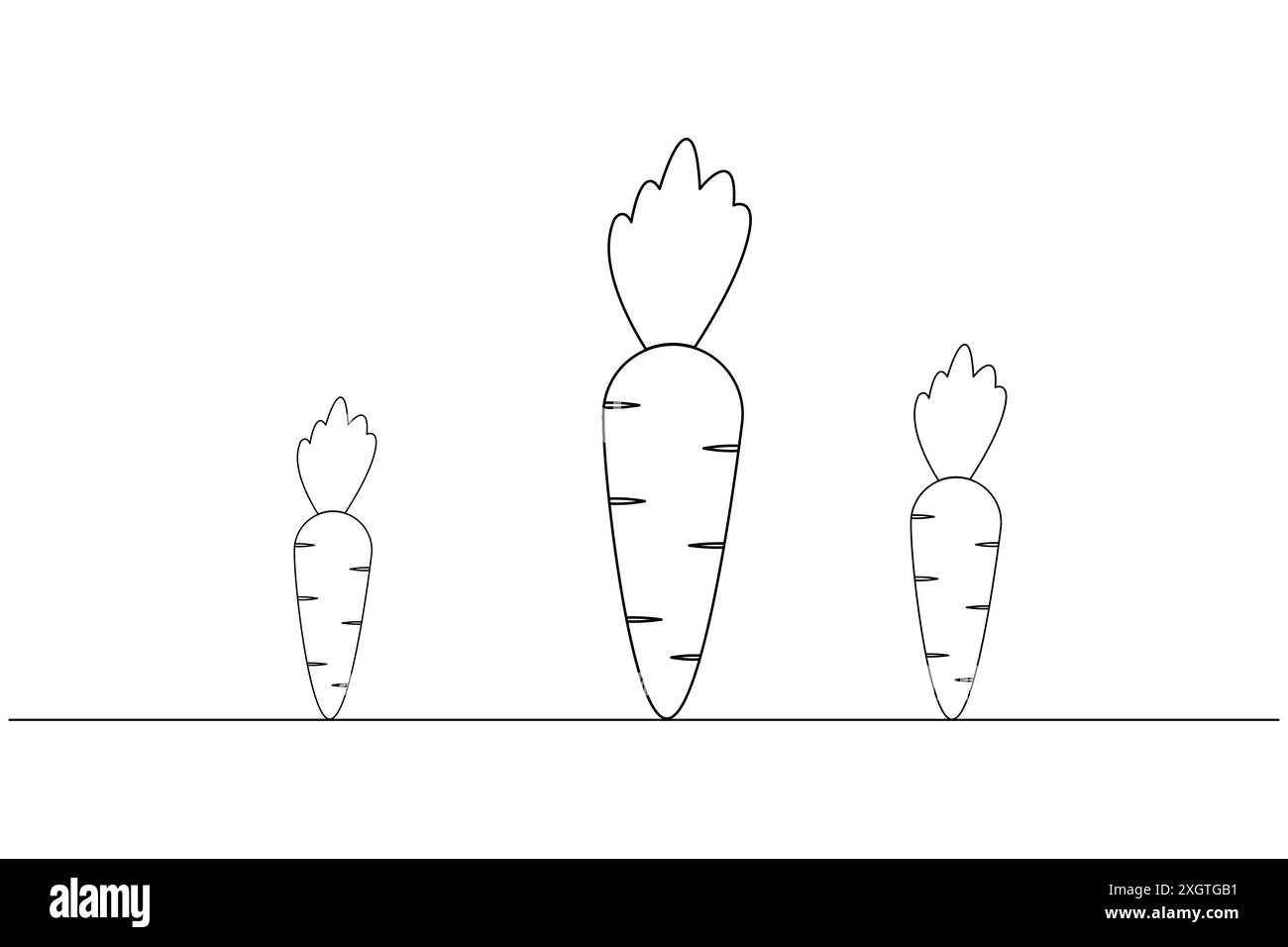 Durchgehende einzeilige Karottenzeichnung der Illustration isolierter Konturvektorgrafiken Stock Vektor