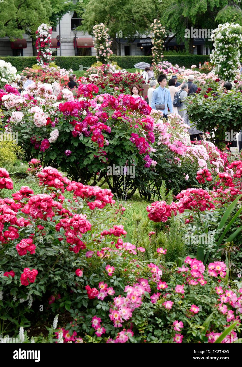 Japan, Honshu Island, Kanto, Tokio, Kanagawa, Yokohama, der Yamashita Park. Stockfoto