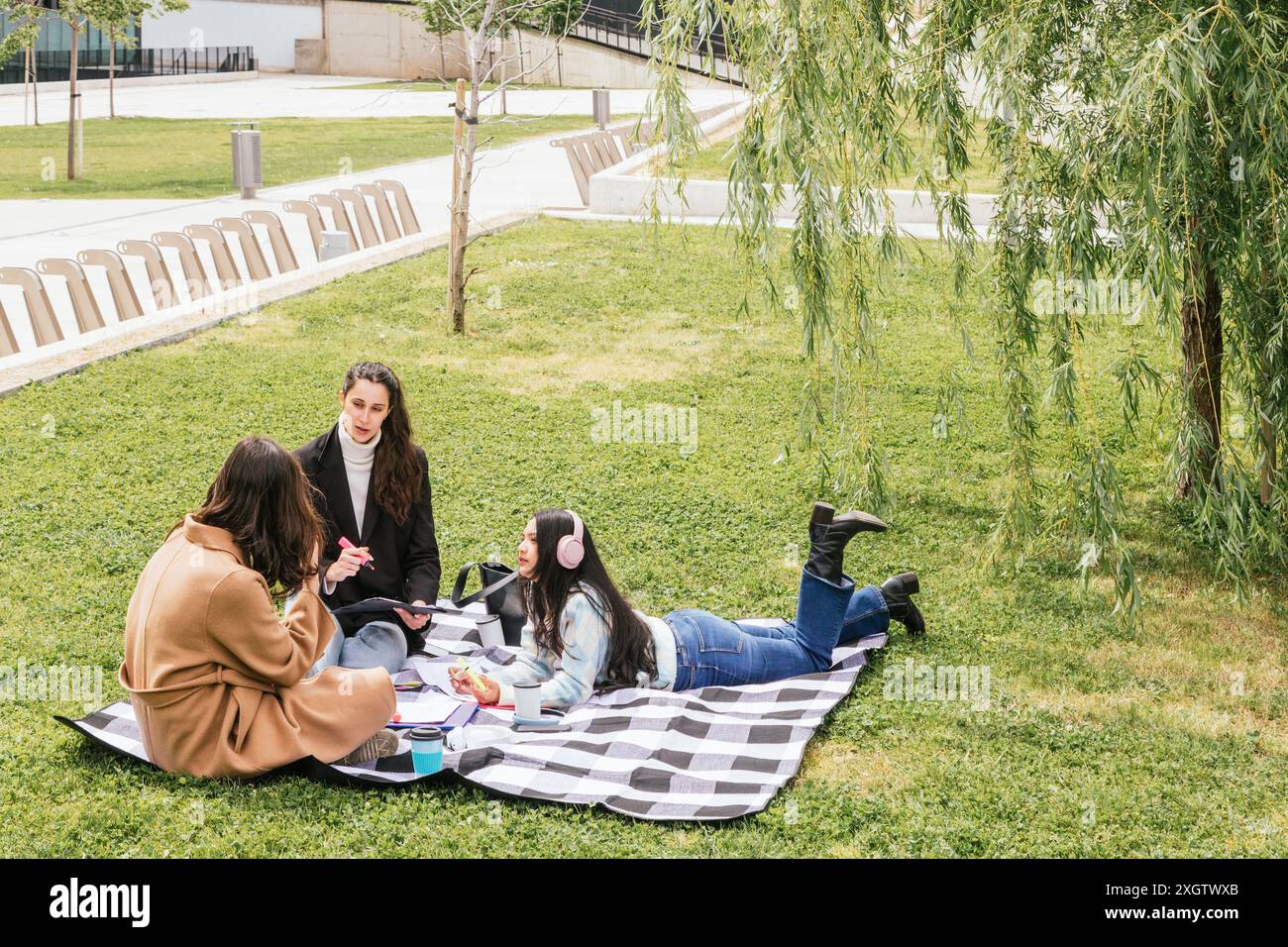 Drei Universitätsstudenten genießen ein Studium im Freien auf einer karierten Decke in einem Park, umgeben von üppigem Grün und Weidenbäumen Stockfoto