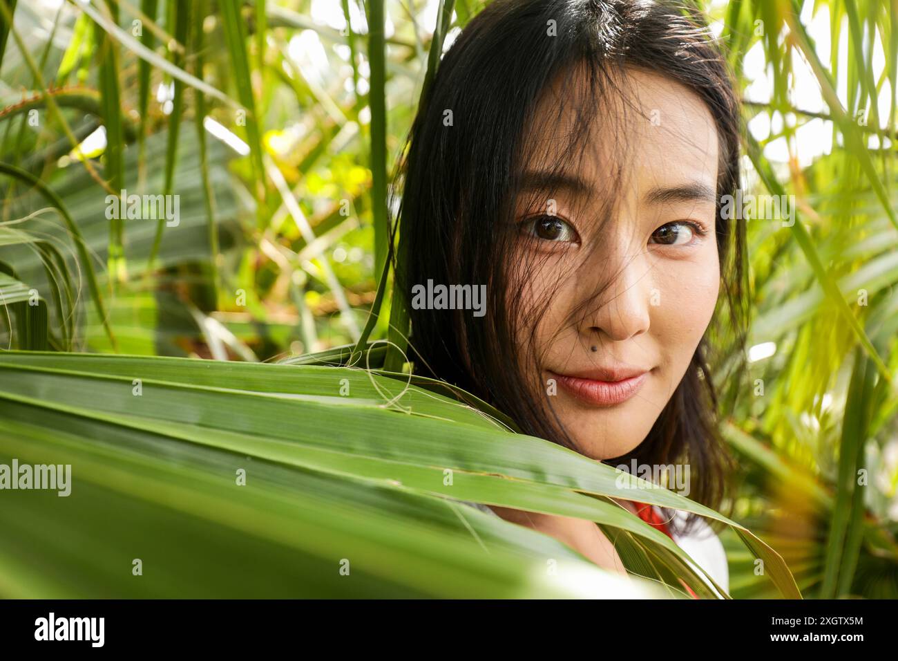 Nahaufnahme einer jungen asiatischen Frau, die in die Kamera schaut, während sie sanft durch leuchtend grüne Blätter blickt und einen verspielten, aber ruhigen Ausdruck zeigt. Stockfoto