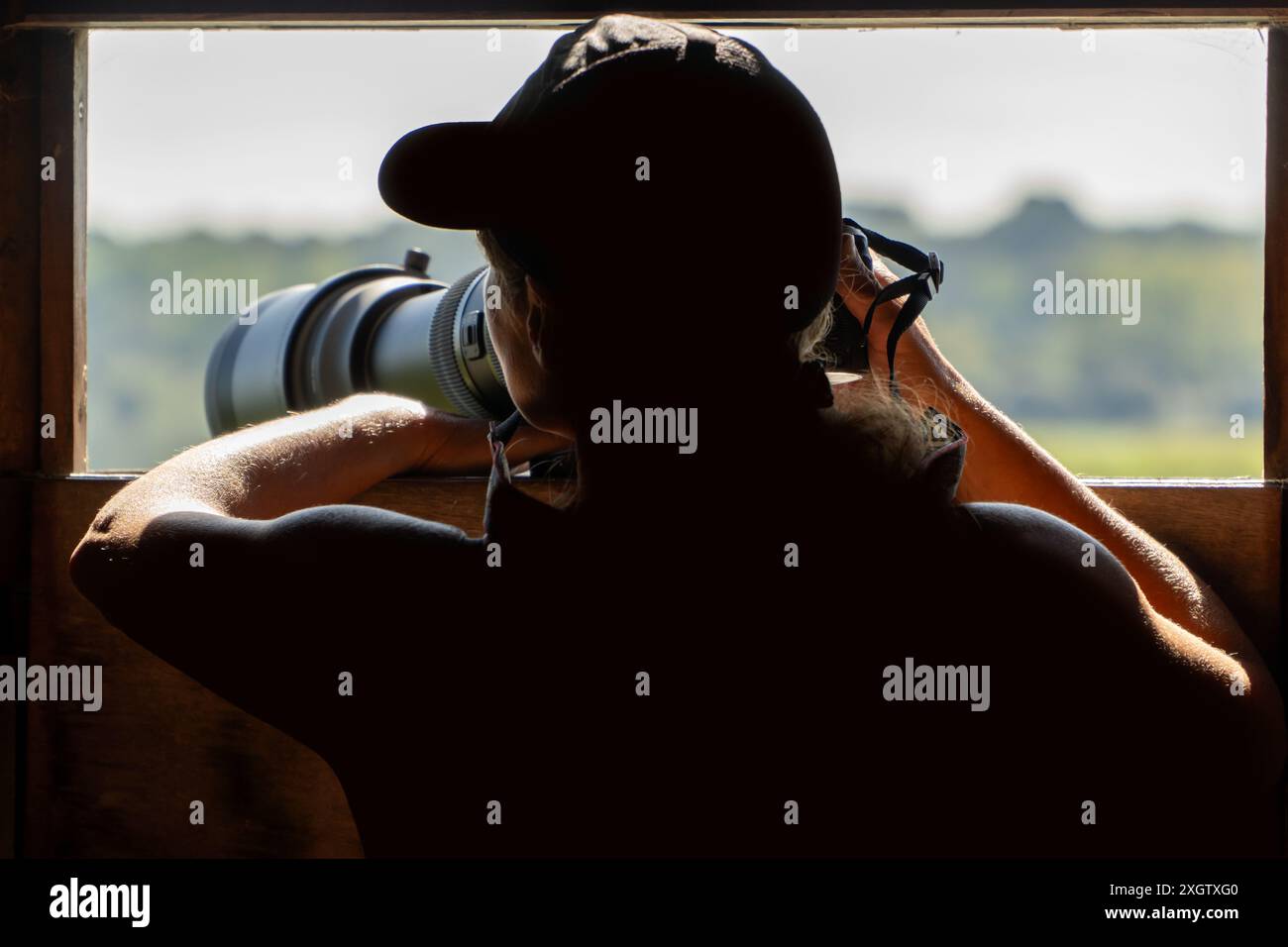 Rückansicht einer nicht erkennbaren Frau, von hinten aufgenommen, im Vogel, der ein Naturschutzgebiet beobachtet und eine Kamera aus einem Holzfell anvisiert. Stockfoto