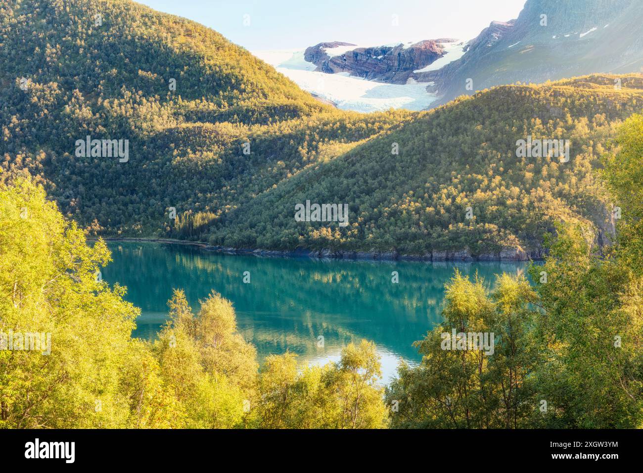 Malerischer Blick auf den Svartisen-Gletscher auf den grünen Hügeln am Fjord entlang der Helgelandkysten National Tourist Road. Die Schönheit Nordnorwegens. Stockfoto