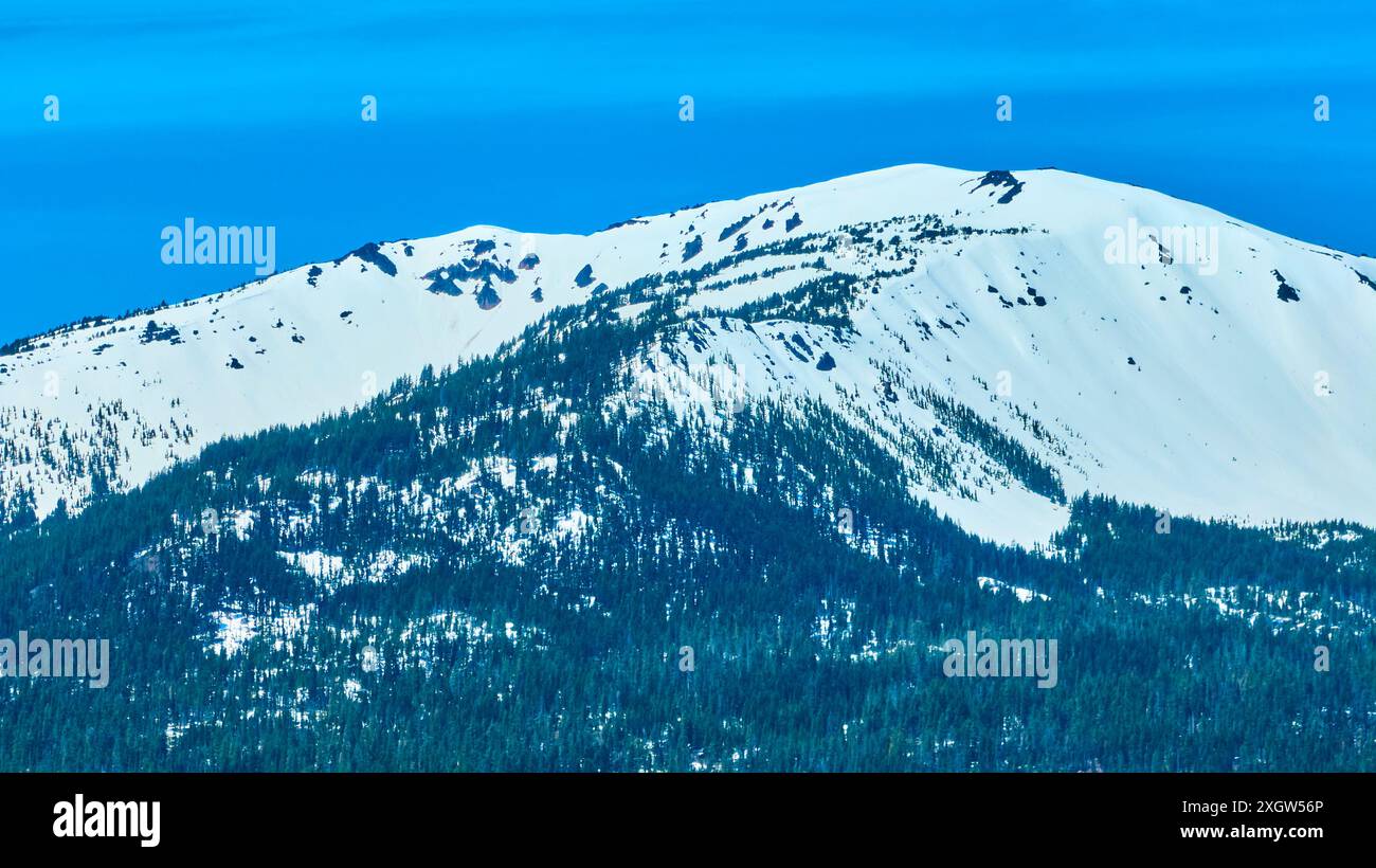 Aus der Vogelperspektive auf den schneebedeckten Mount Bailey und die immergrünen Wälder Stockfoto