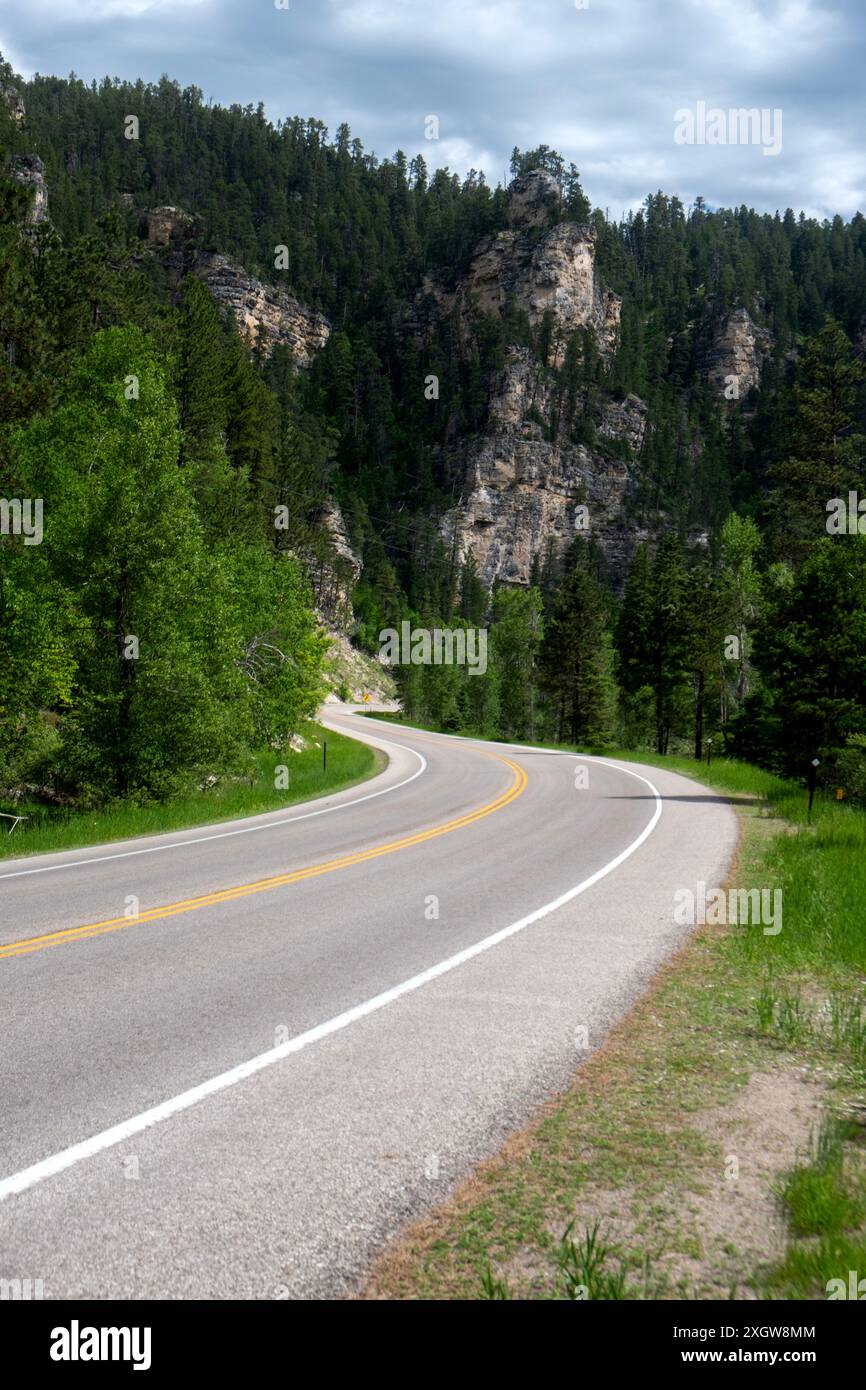 Blick auf den Highway 14A im Spearfish Canyon in den Black Hills von South Dakota Stockfoto