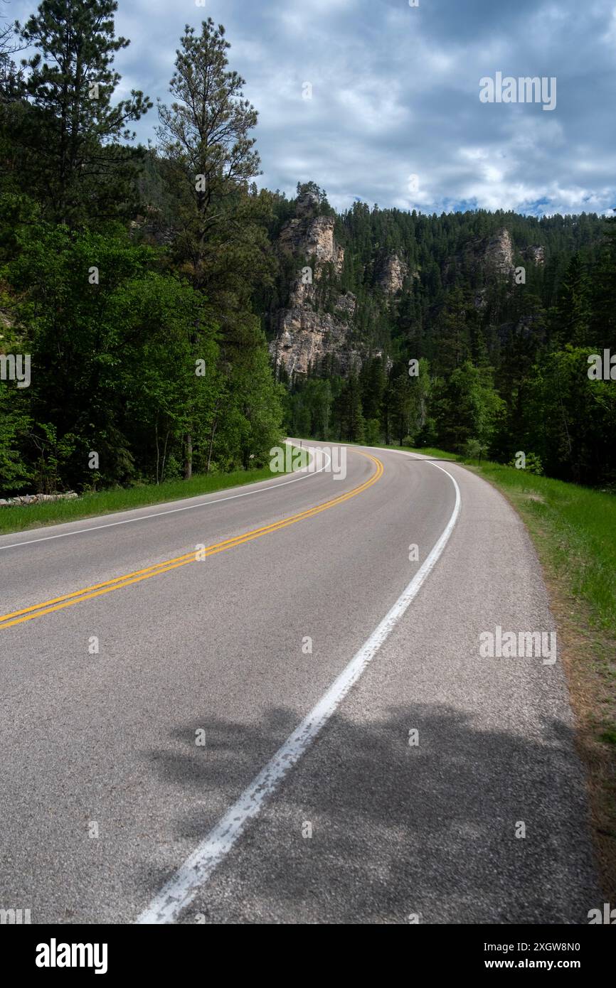 Blick auf den Highway 14A im Spearfish Canyon in den Black Hills von South Dakota Stockfoto