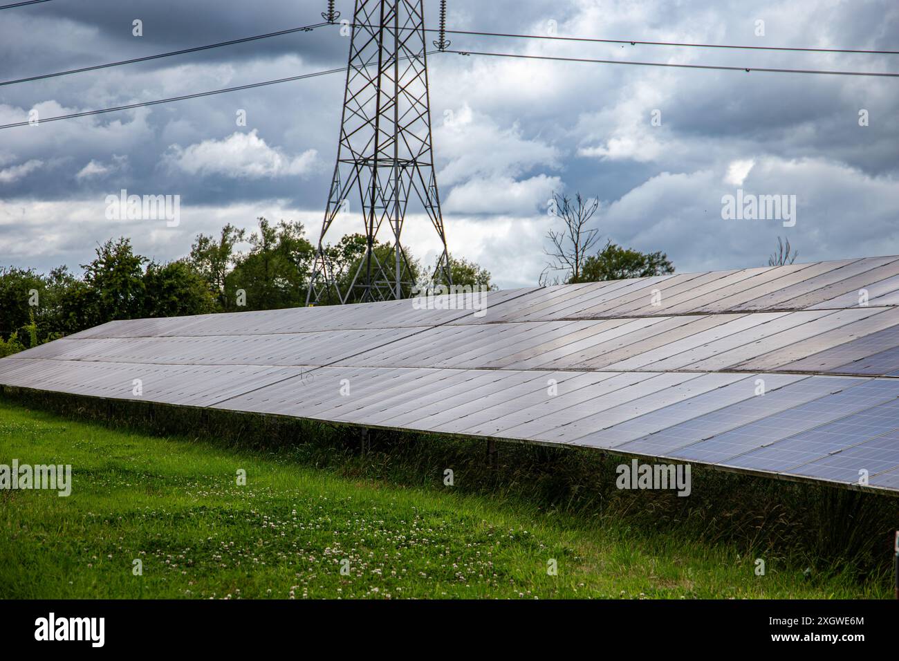 Solarpaneele, die in einem Feld unter bewölktem Himmel installiert sind, mit einem elektrischen Pylon im Hintergrund Stockfoto