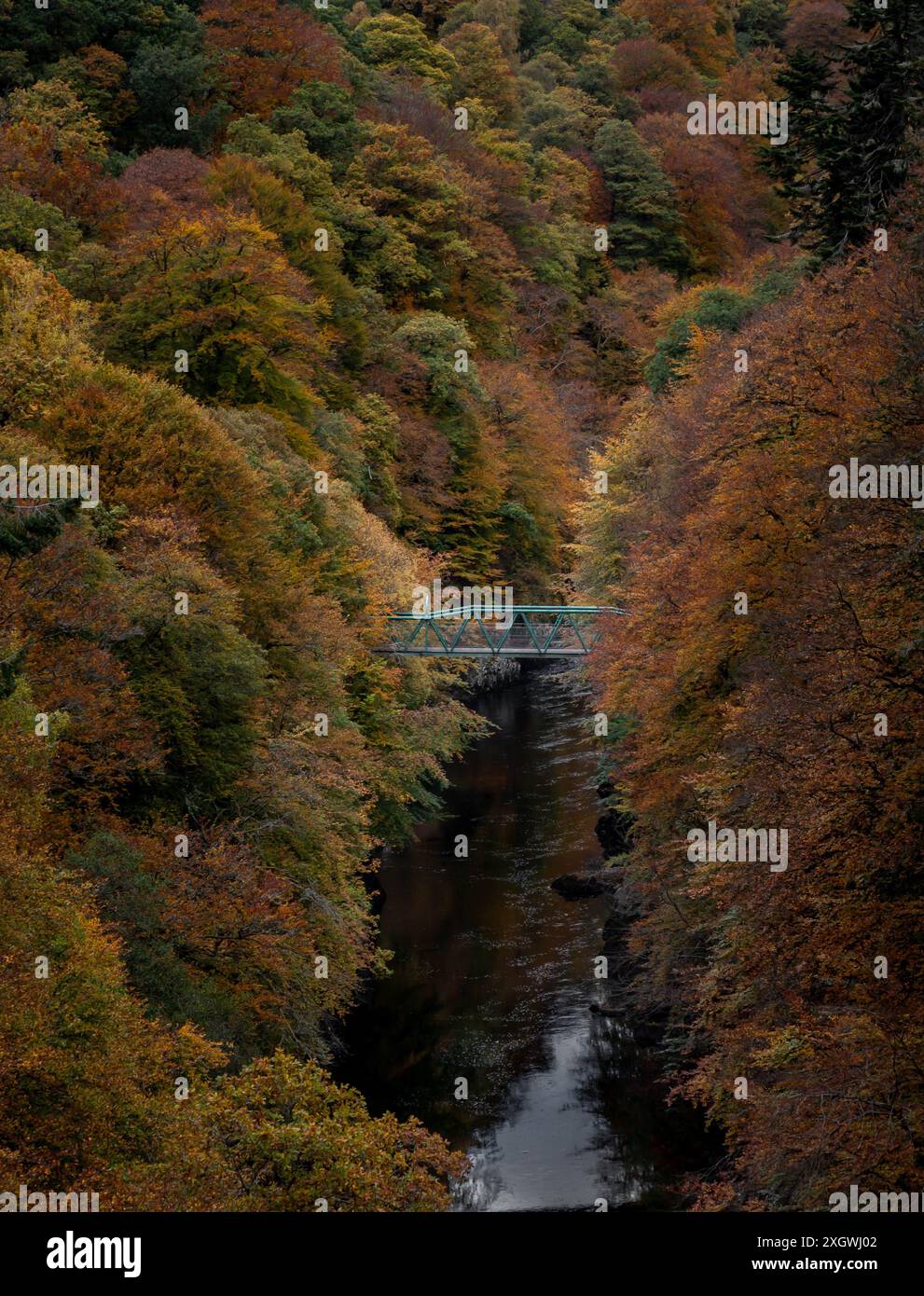 Fußgängerbrücke über die Schlucht des Flusses Garry bei Linn of Tummel, Schottland, umgeben von dichten Wäldern in herbstlichen Farben Stockfoto