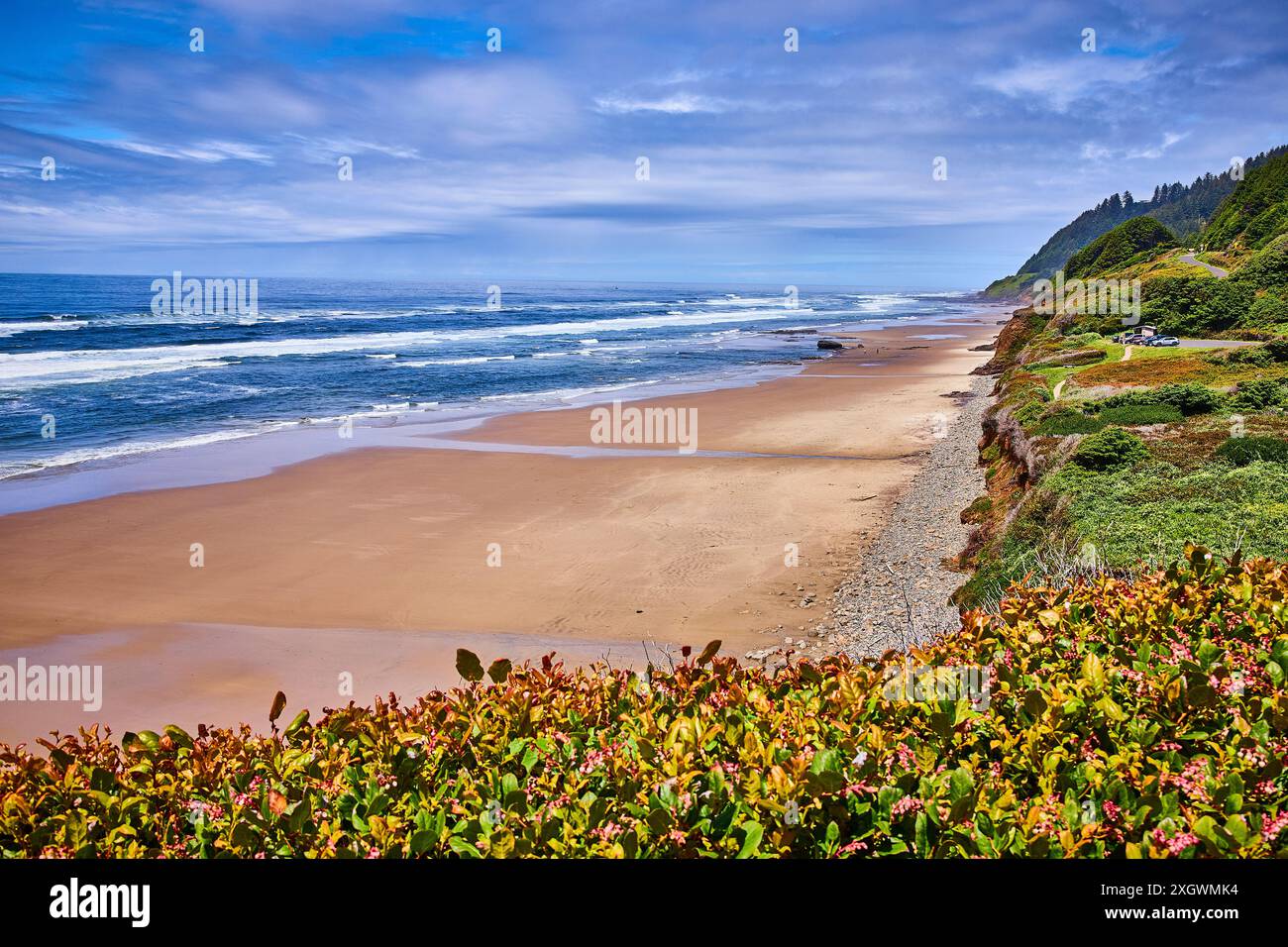 Ruhiger Sandstrand und Meereswellen mit blühender Cliffside von Elevated View Stockfoto