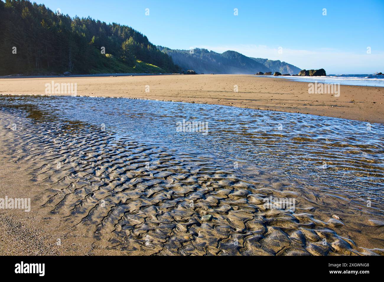 Gezeitenmuster am Whaleshead Beach mit bewaldeter Hanglage Stockfoto