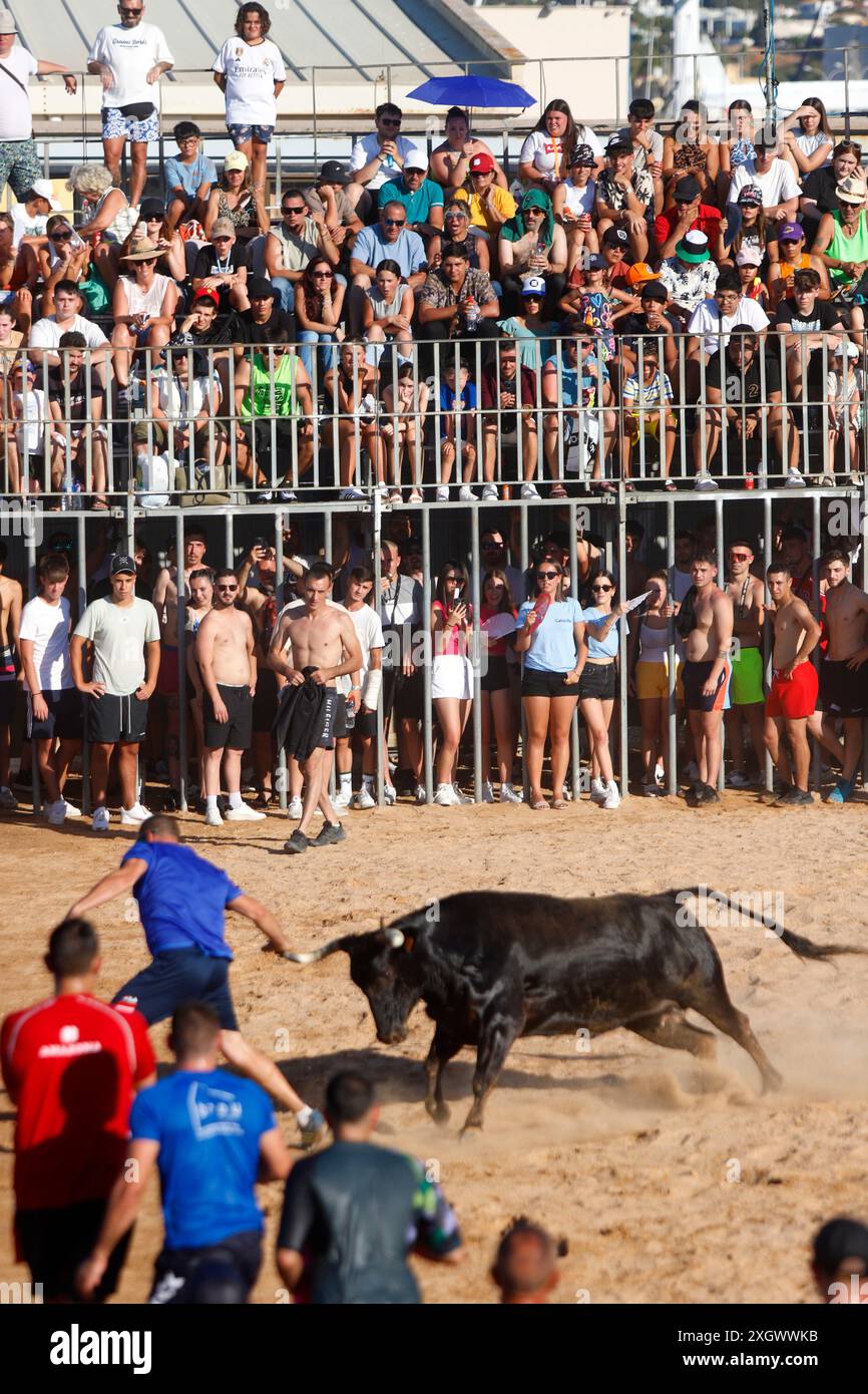 Junge Nachtschwärmer trotzen dem Stier, indem sie während des Bous a la Mar Festivals in Denia ins Wasser springen Stockfoto