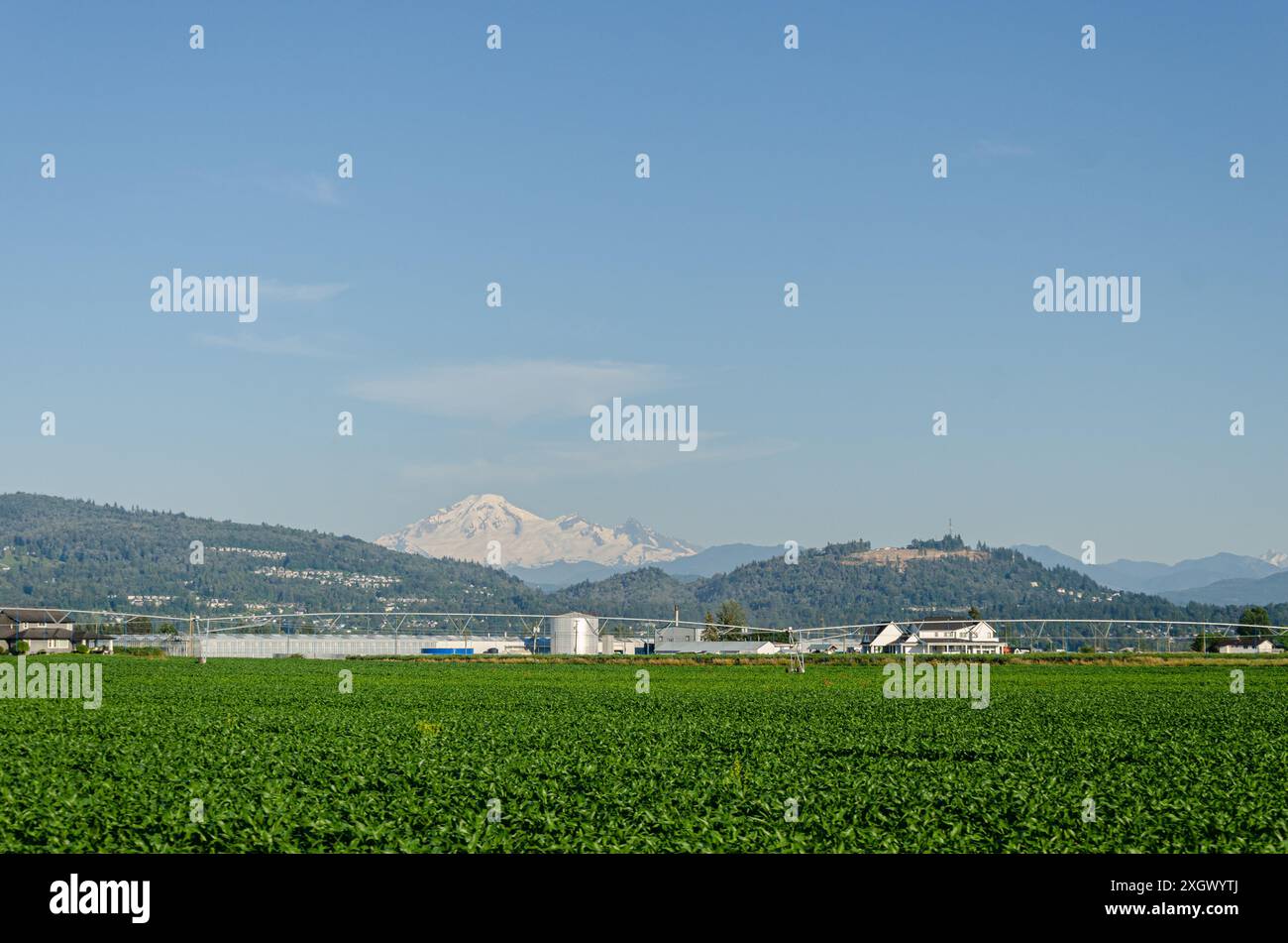 Landwirtschaftsbetriebe in Mission, Fraser Valley, British Columbia, Kanada Stockfoto