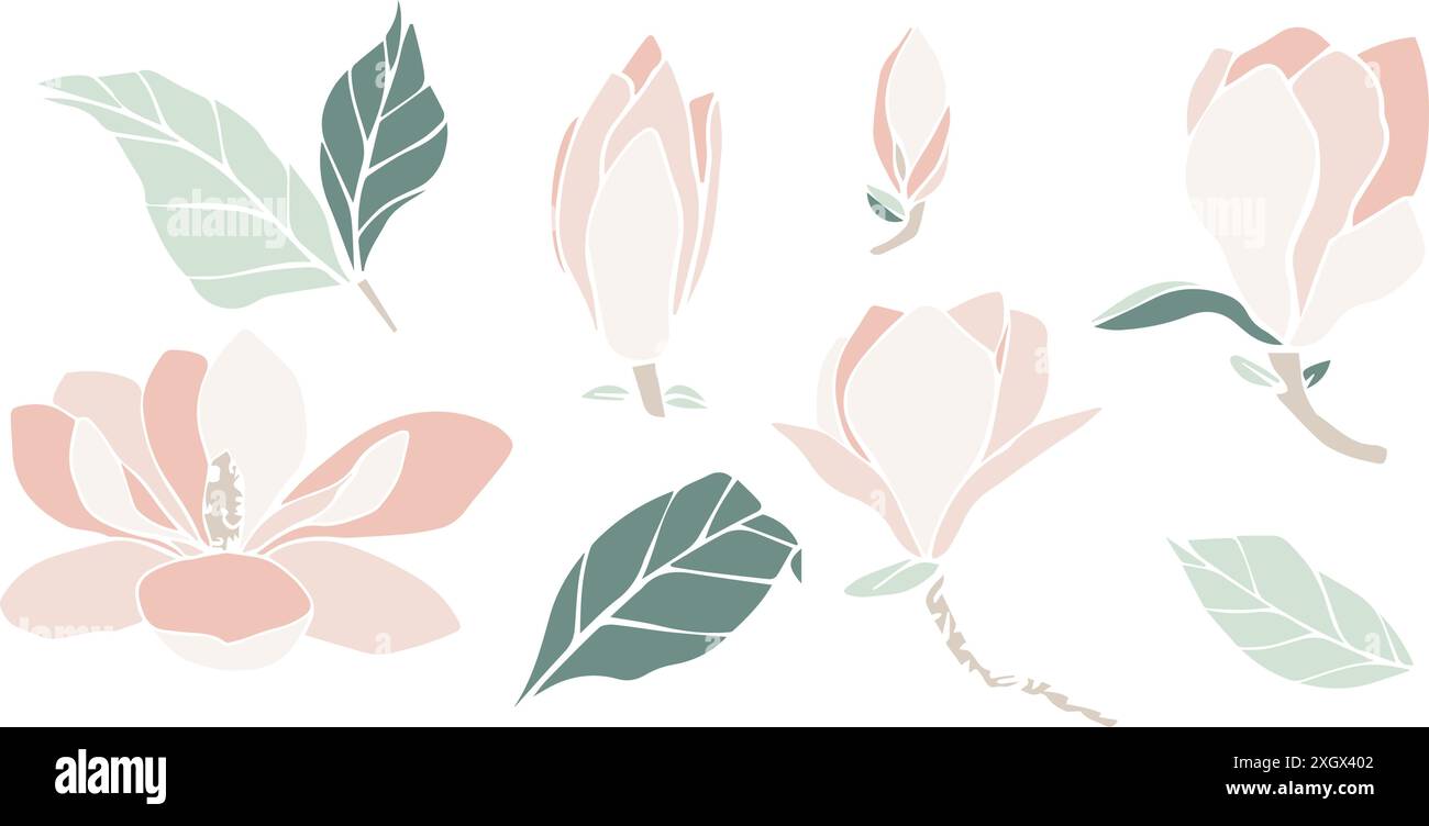 Vektor-Magnolienblume Silhouette, Satz der Illustration in weicher Pastellfarbe. Isoliertes Blumenelement. Blütenknospen in verschiedenen Formen für die Hochzeit Stock Vektor