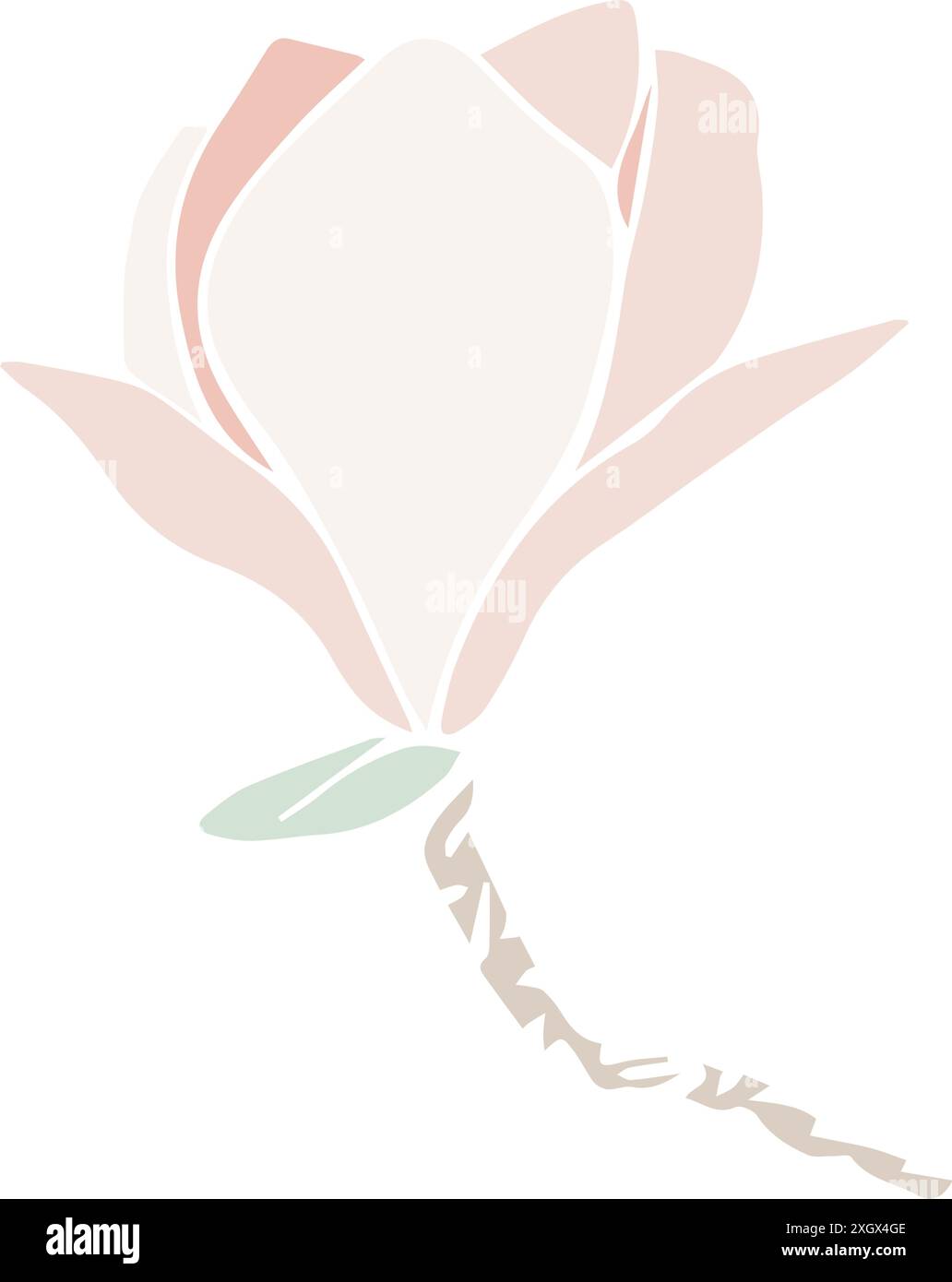 Vektor-Magnolienblume Silhouette, Illustration in weicher Pastellfarbe. Isoliertes Blumenelement. Blütenknospen in verschiedenen Formen für Hochzeitsdesign Stock Vektor