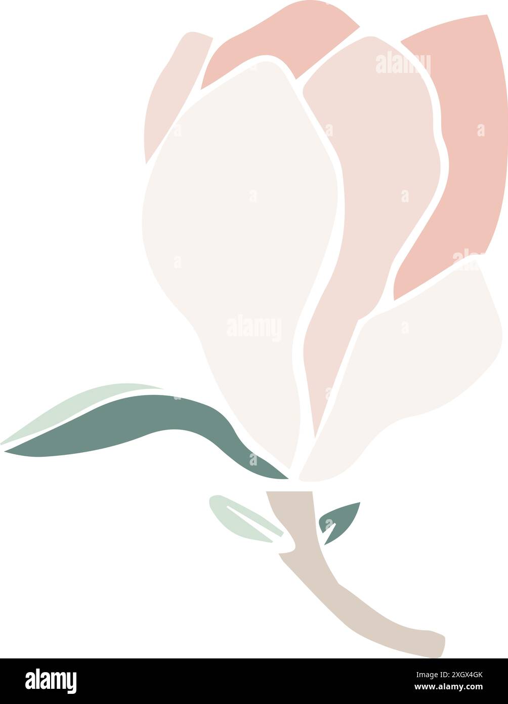 Vektor-Magnolienblume Silhouette, Illustration in weicher Pastellfarbe. Isoliertes Blumenelement. Blütenknospen in verschiedenen Formen für Hochzeitsdesign Stock Vektor