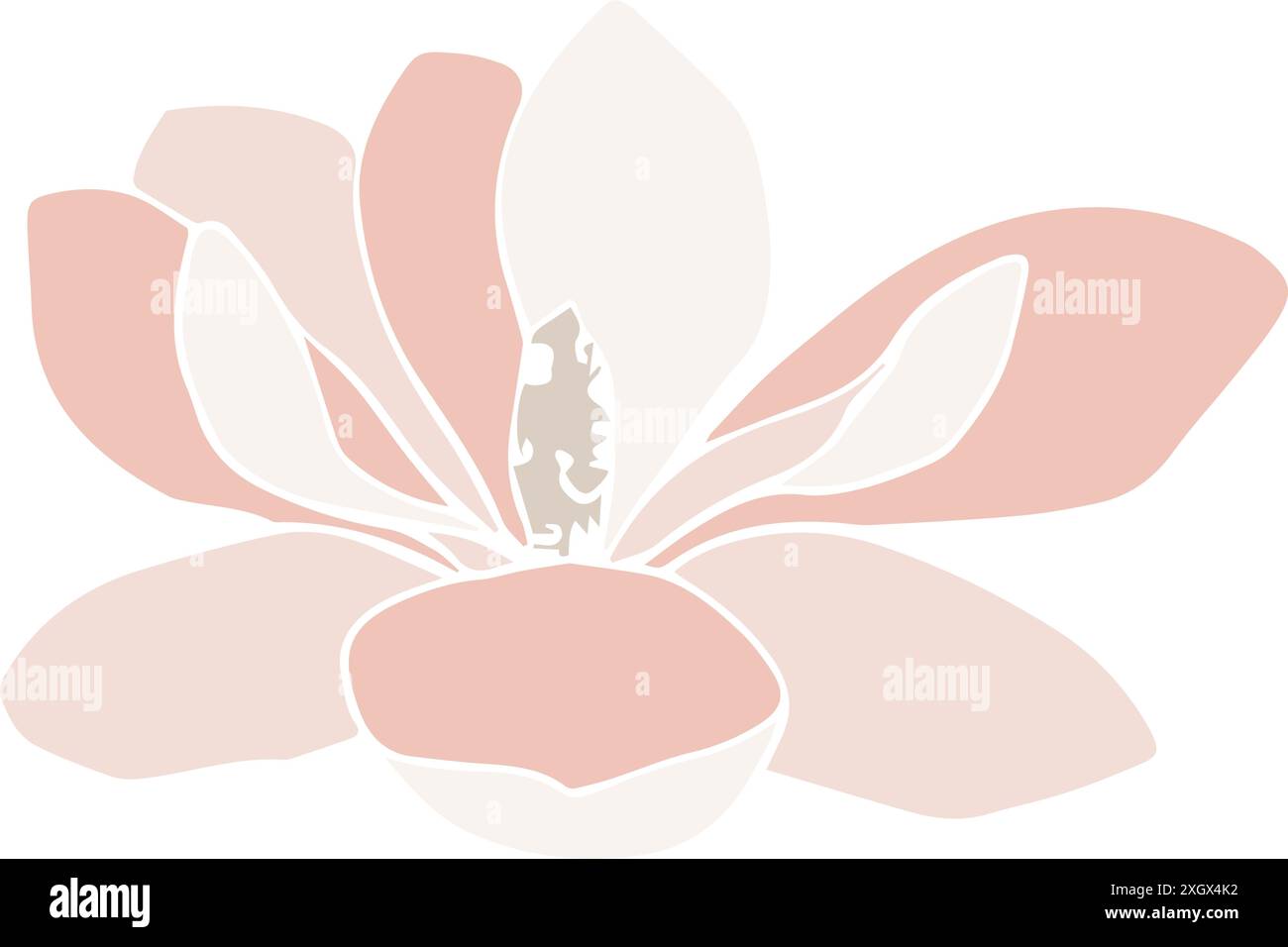 Vektor-Magnolienblume Silhouette, Illustration in weicher Pastellfarbe. Isoliertes Blumenelement. Blütenknospen in verschiedenen Formen für Hochzeitsdesign Stock Vektor