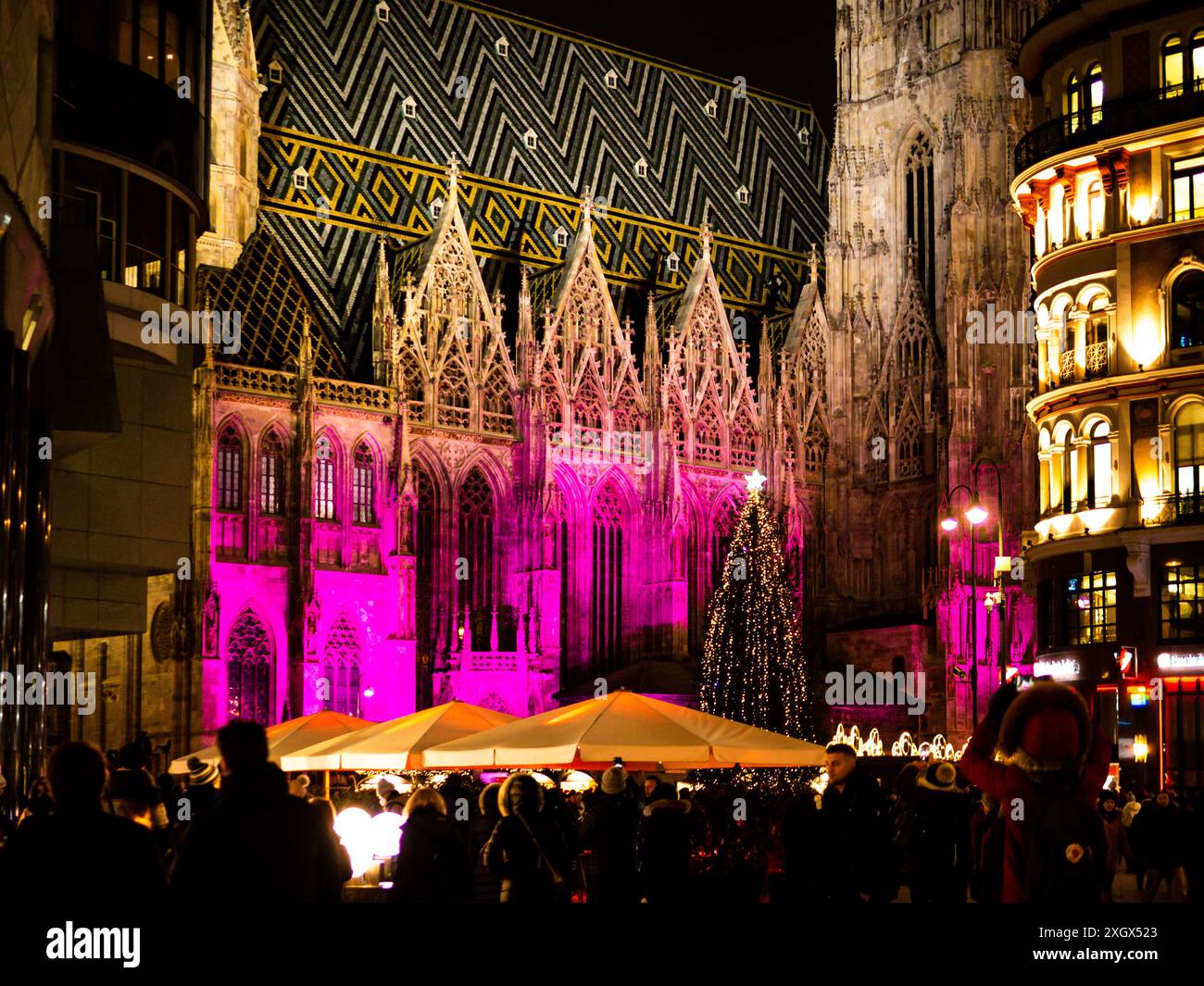 Stephansdom beleuchtet mit Weihnachtslichtern in Wien, Österreich in einer Winternacht Stockfoto