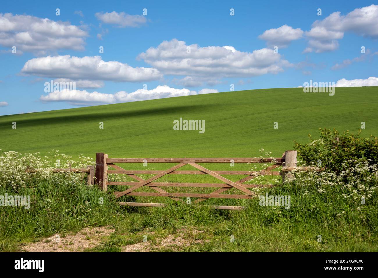 Britwell Hill, Oxfordshire, Großbritannien Stockfoto