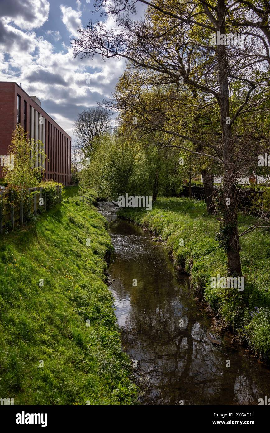 Bourn Brook fließt durch Pebble Mill, Birmingham, West Midlands, Großbritannien Stockfoto